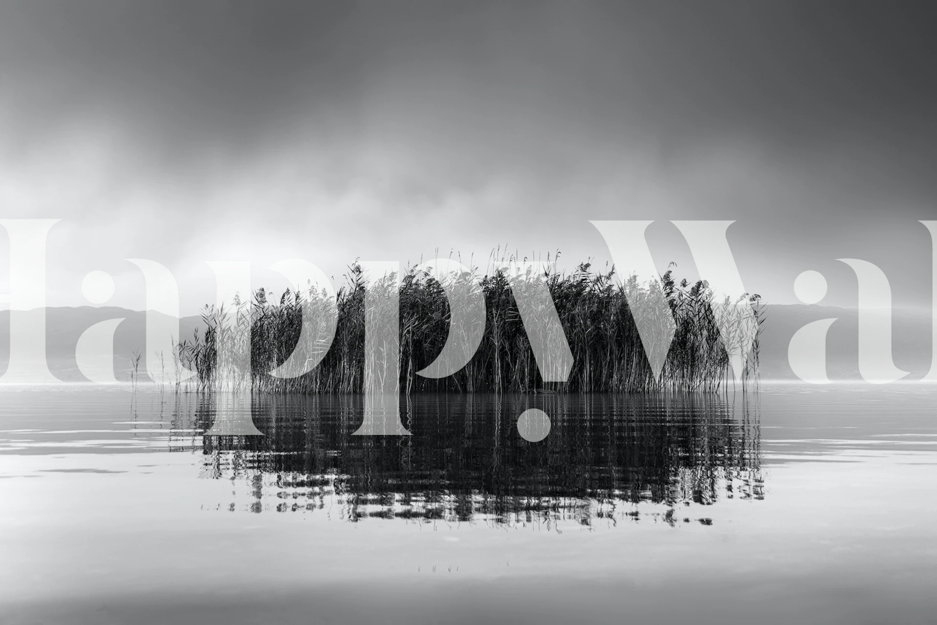 Black and white nature scene with water and reeds wallpaper