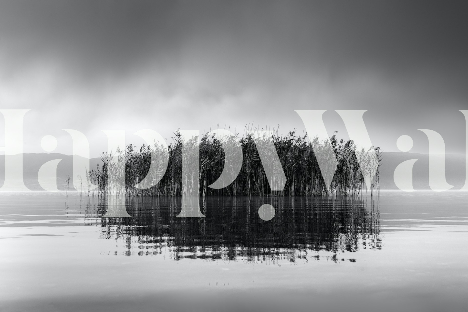 Black and white nature scene with water and reeds wallpaper