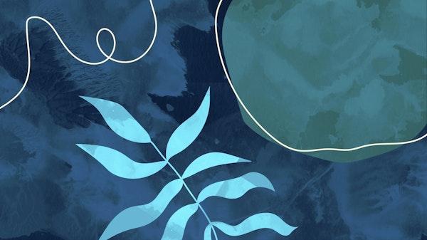 Mid Century Florals XIII