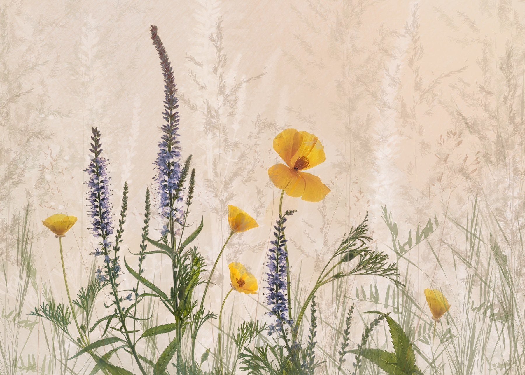 Dreaming of Flowers Wallpaper Buy online at