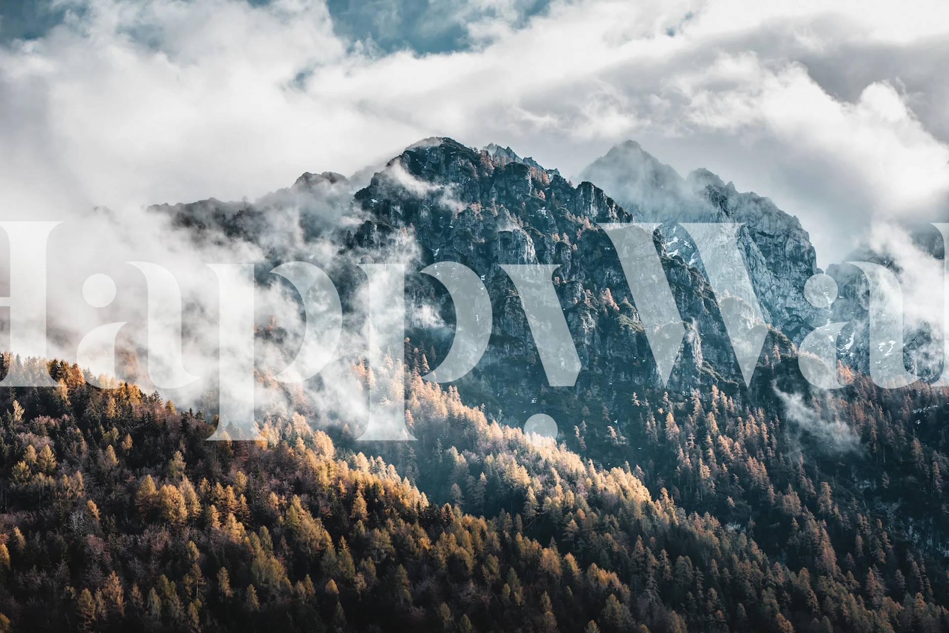 Fog covering Berge wallpaper in einem Raum