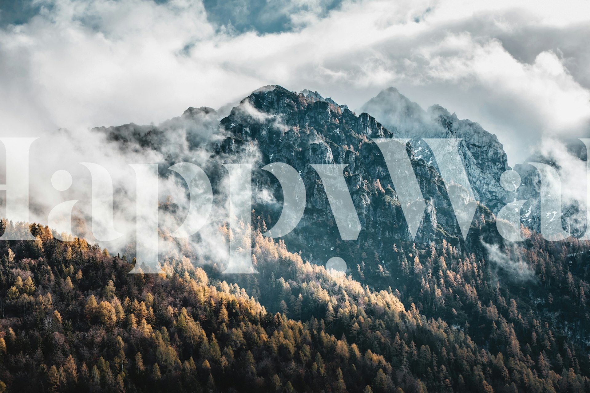 Fog covering mountains wallpaper in a room