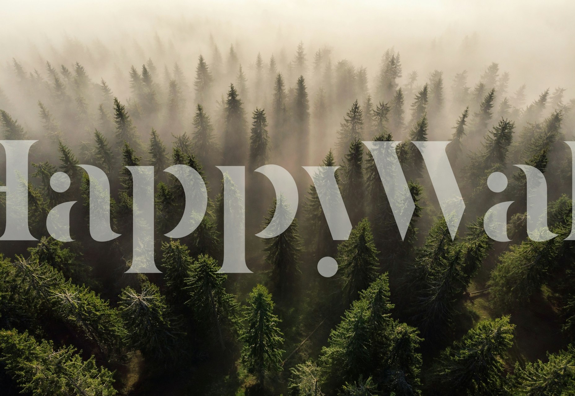 The Army of Firs tapet i et rum