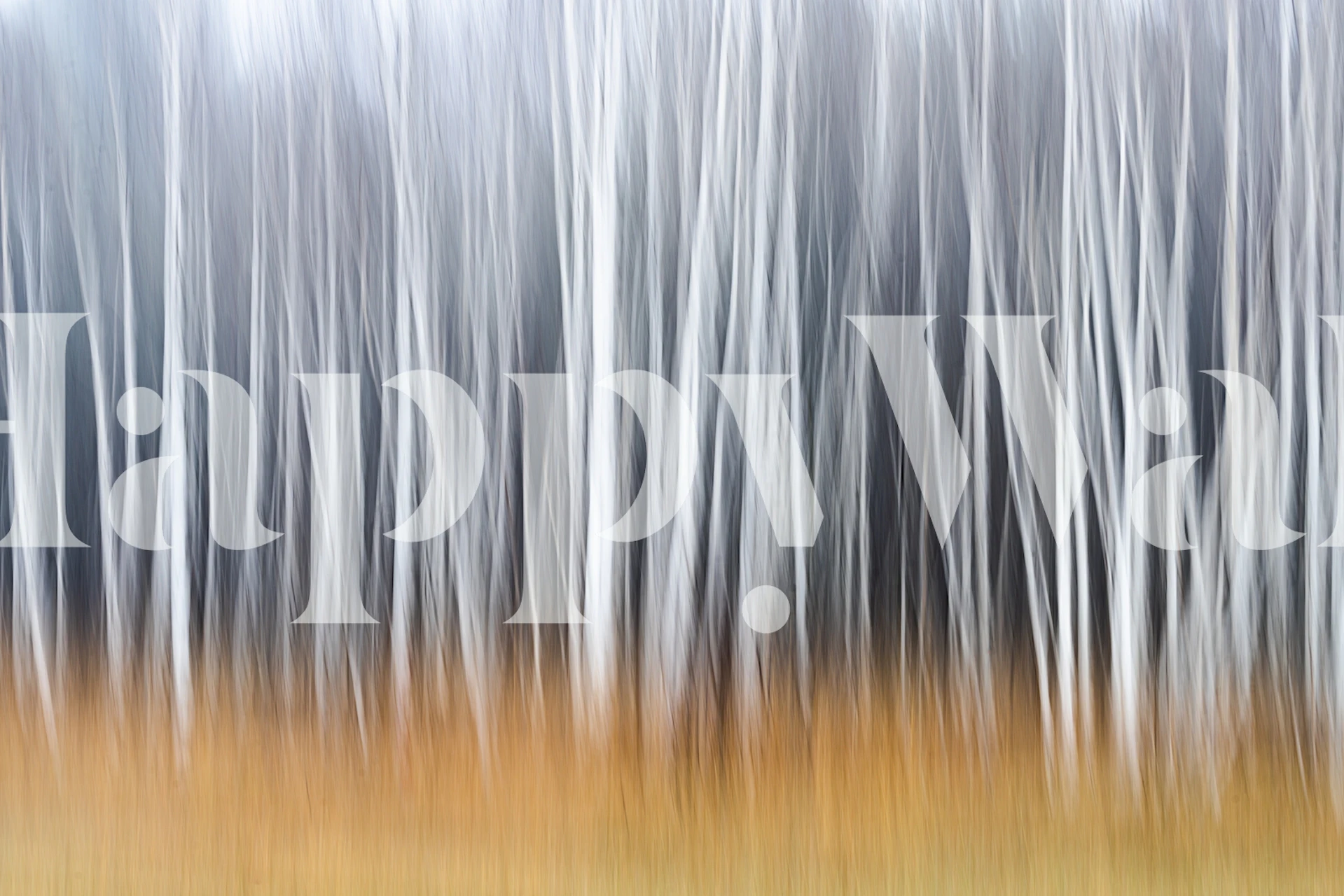 Zidna slika jesenske šume mekog fokusa sa zlatnim lišćem