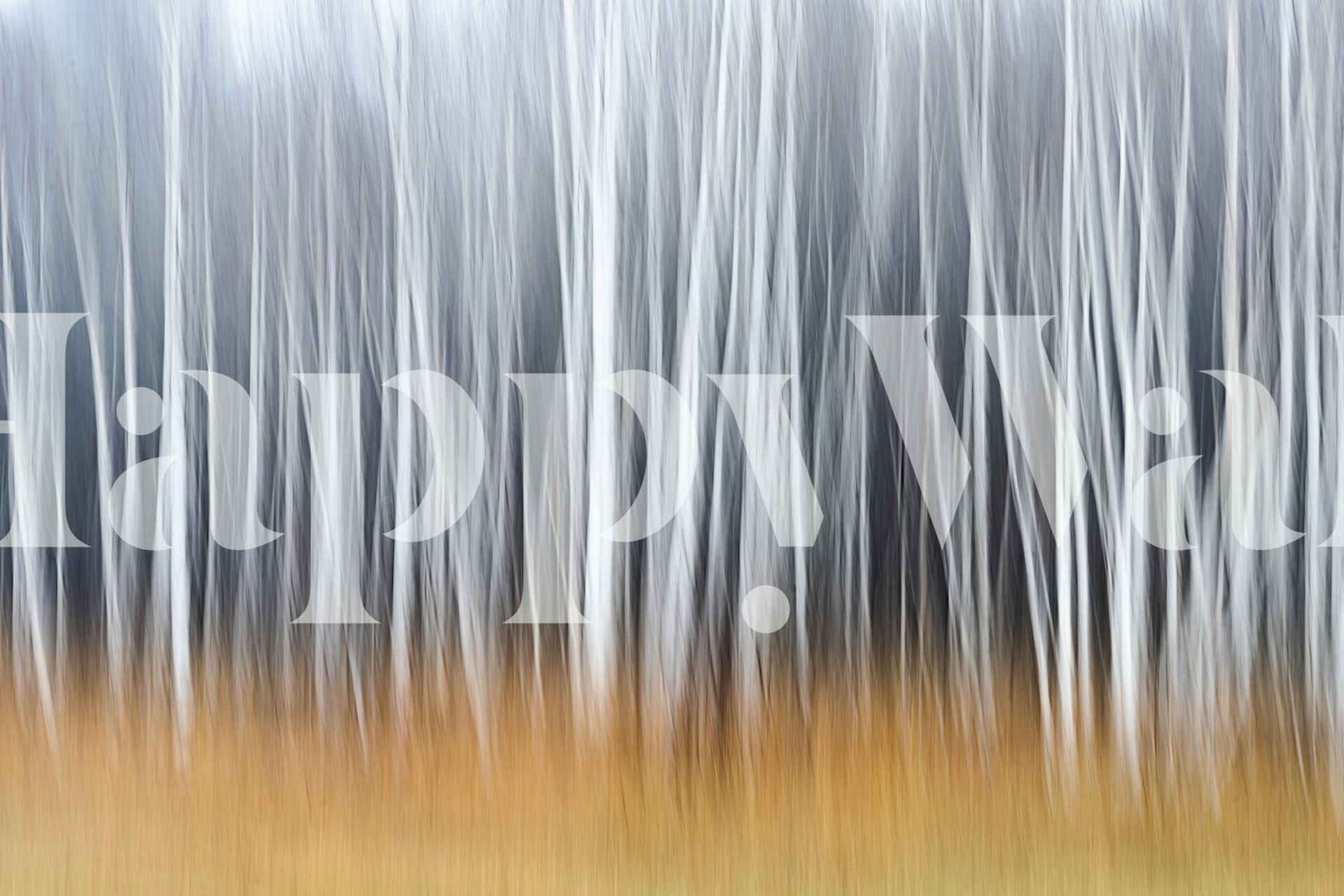 Fotomural vinílico de parede florestal de outono com foco suave e cobertura vegetal de folhas douradas