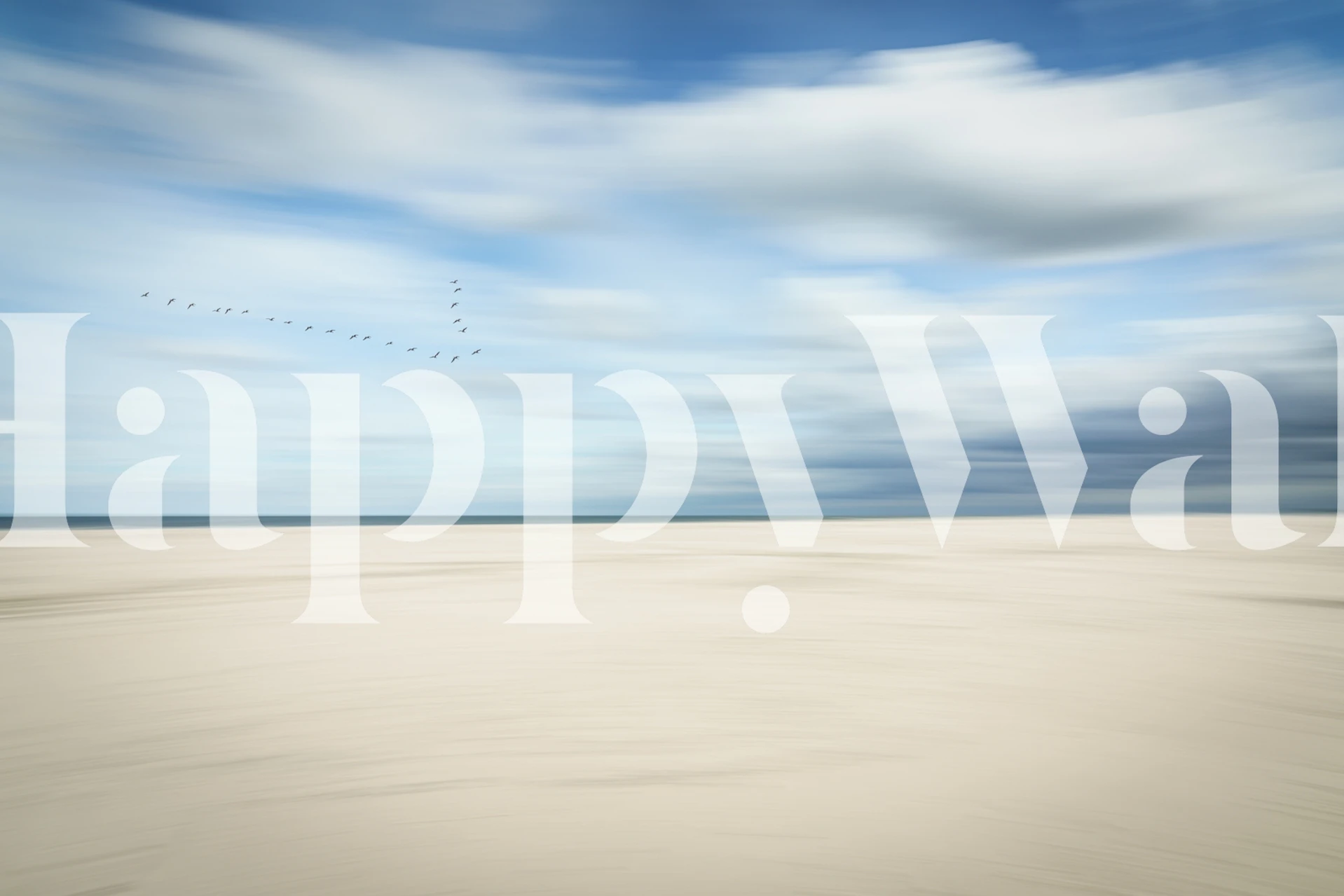 Seaside birds silhouette against blue sky and sandy beach wallpaper