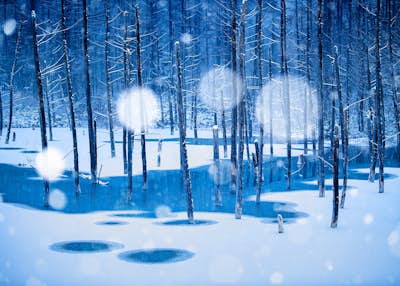 Τοιχογραφία