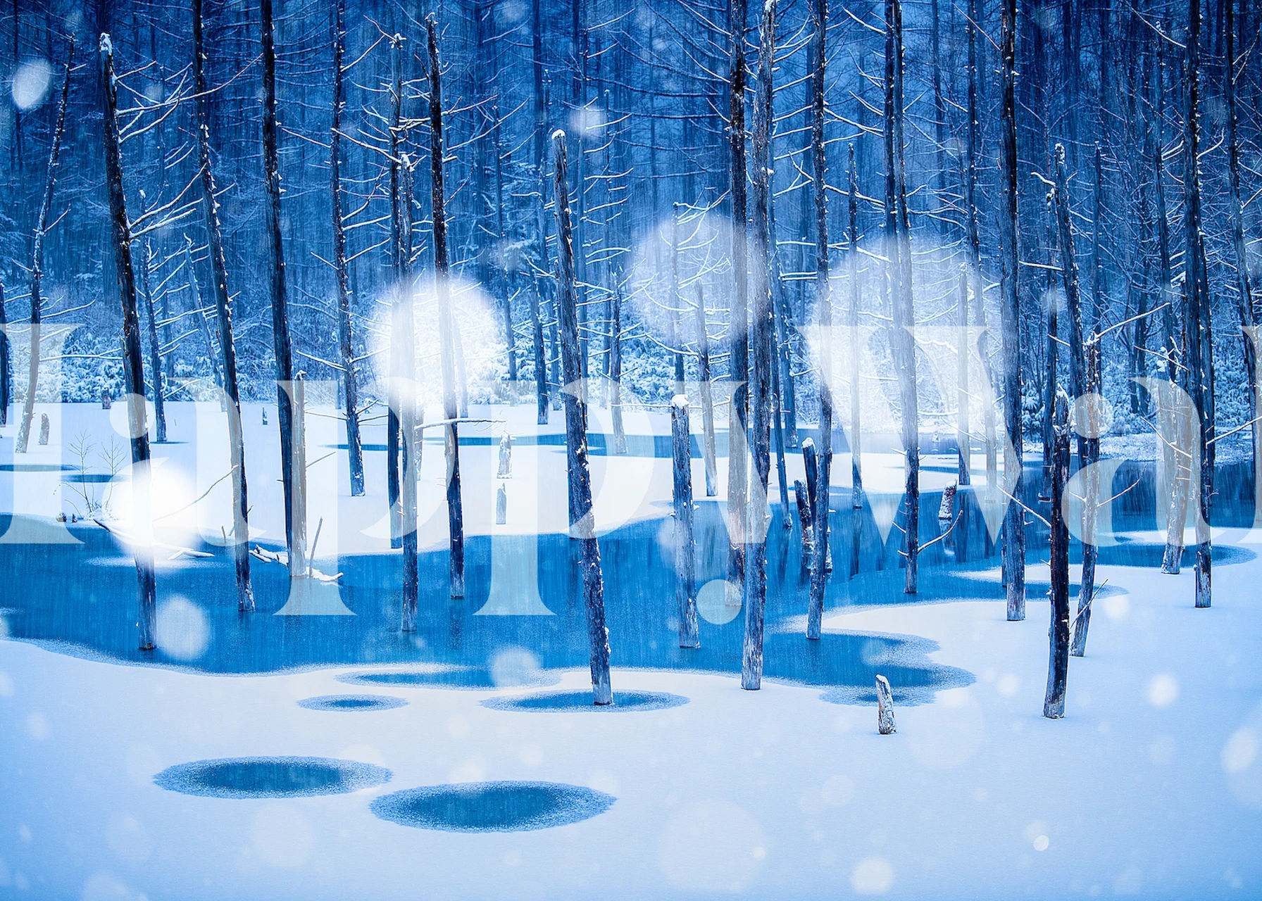 Snowy trees and blue pond in winter scenery wallpaper