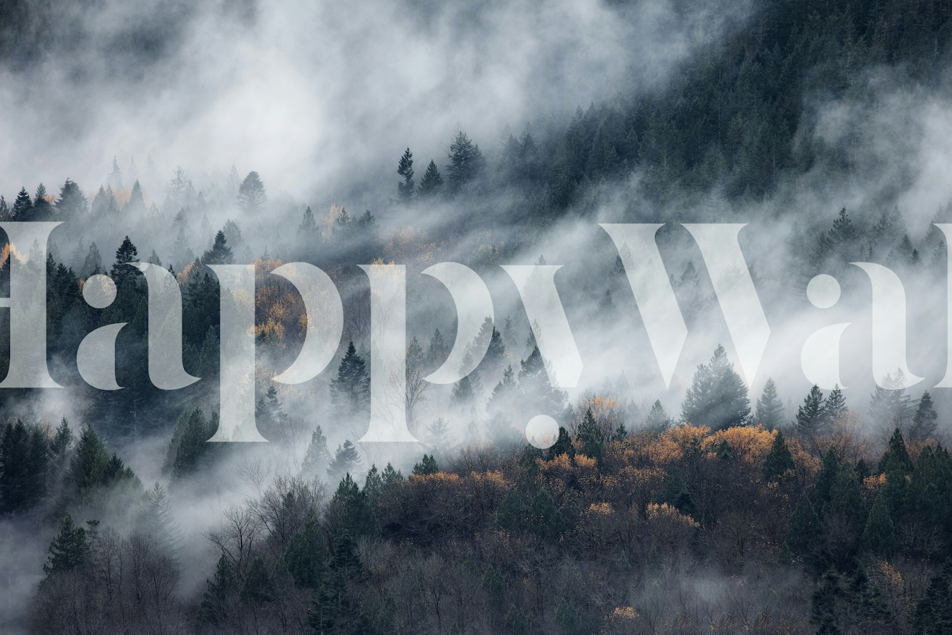 Foggy woodland wallpaper design