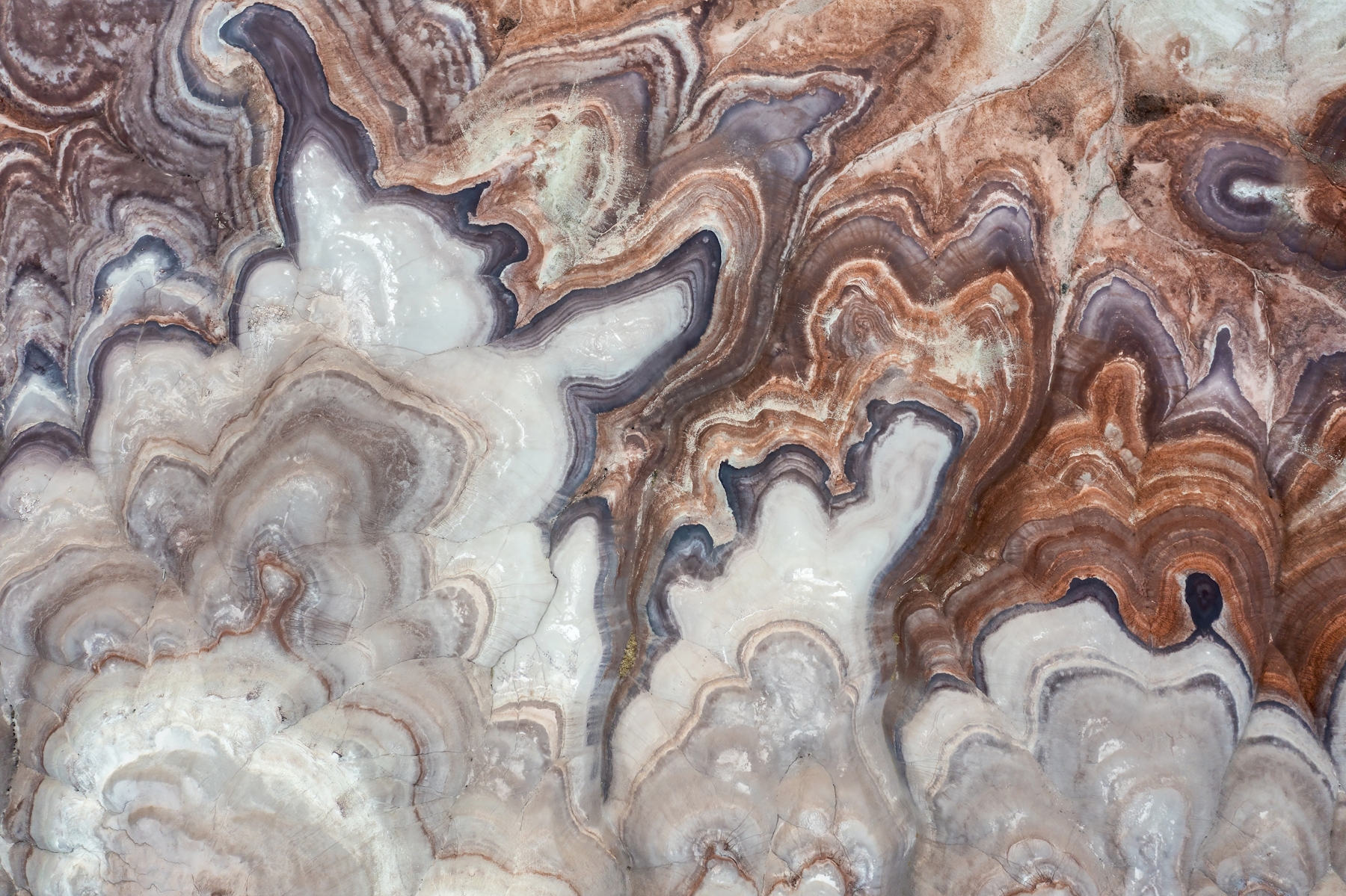 Porcelain land wallpaper - Happywall