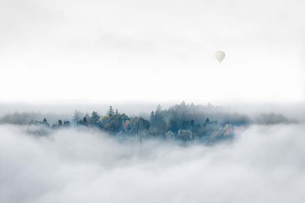 Misty Morning Surprise