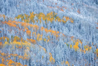 Τοιχογραφία