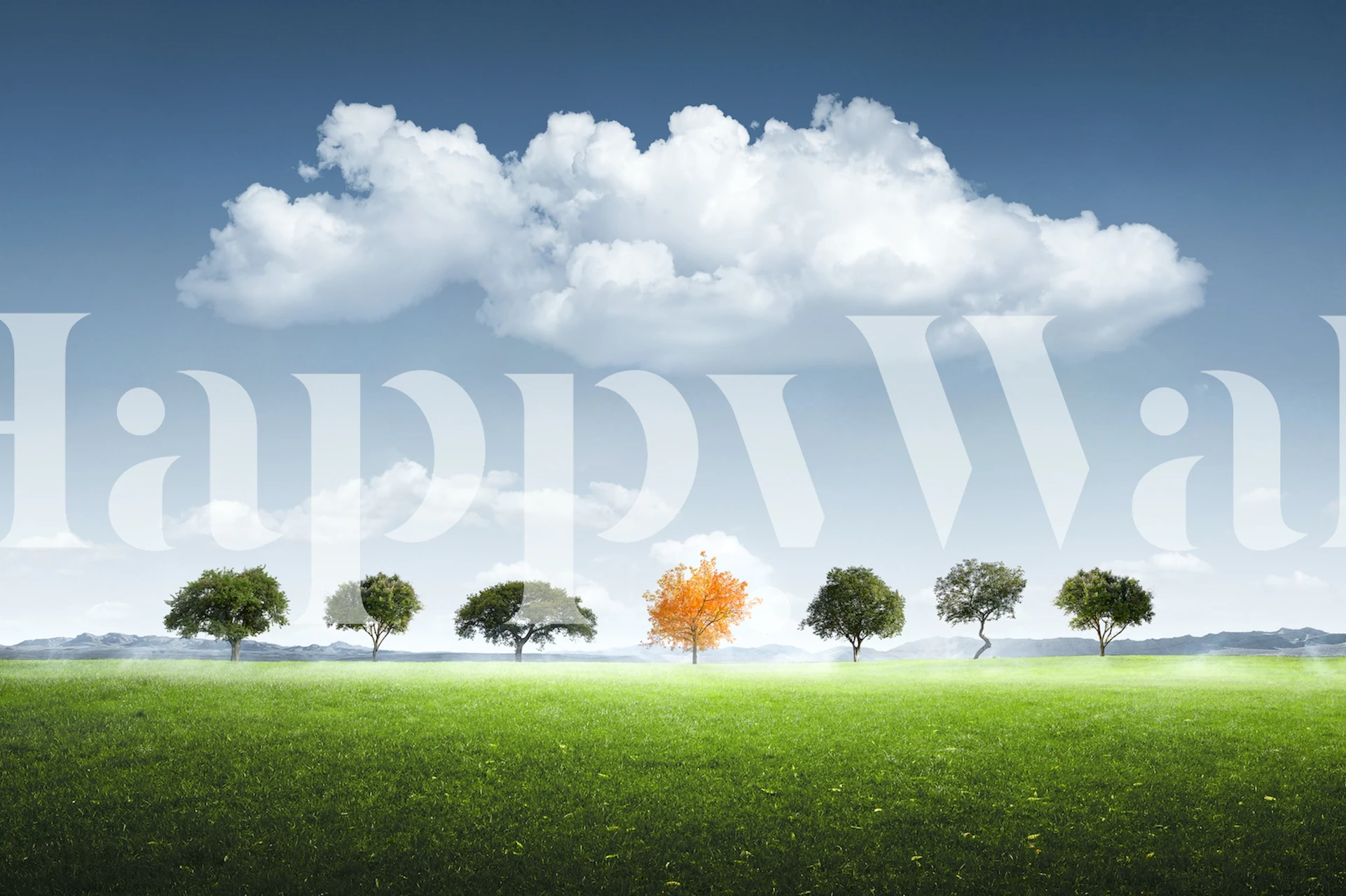 Seven Tree wallpaper in a room setting