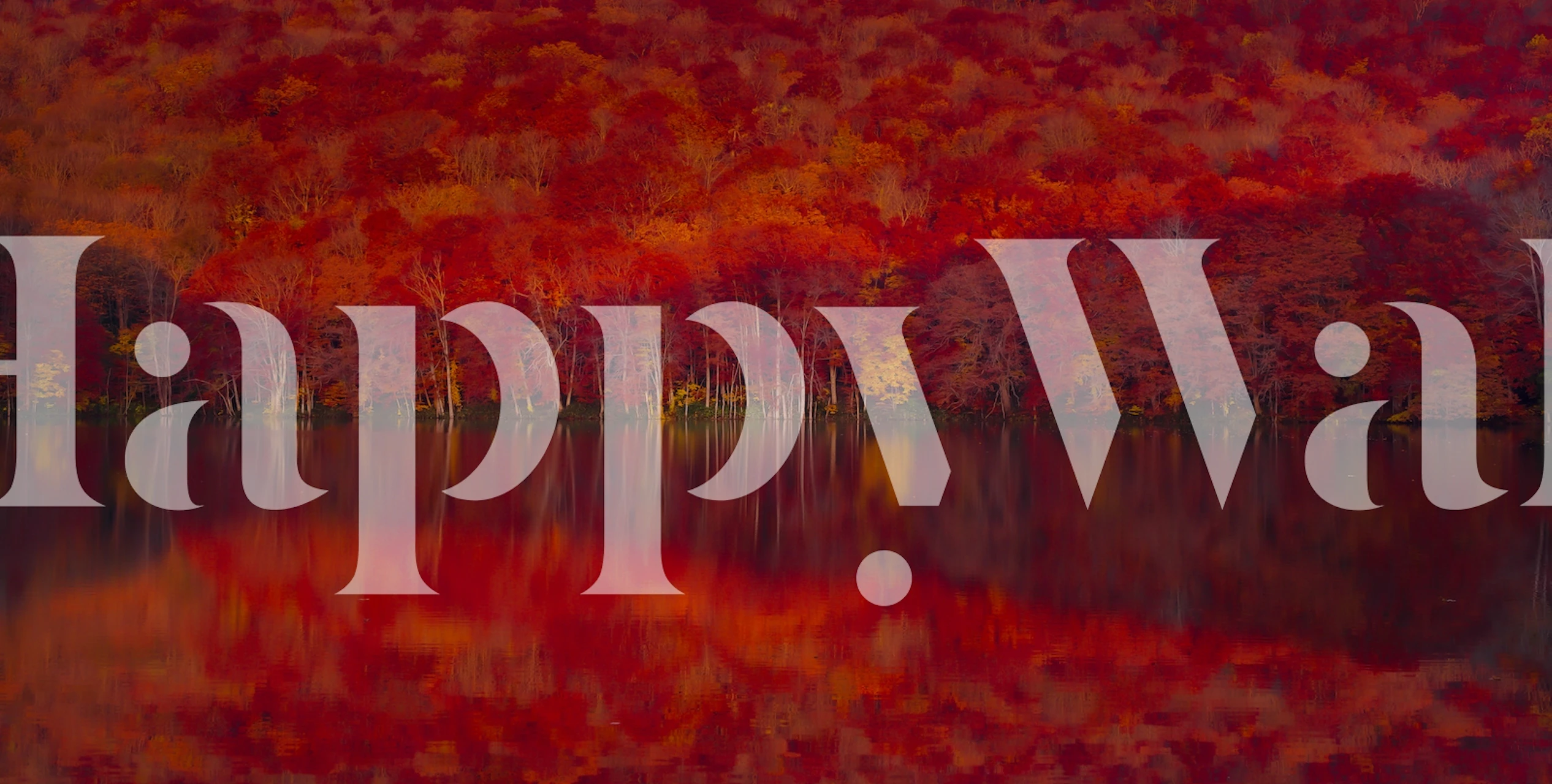 Red leaves and reflections in water wallpaper