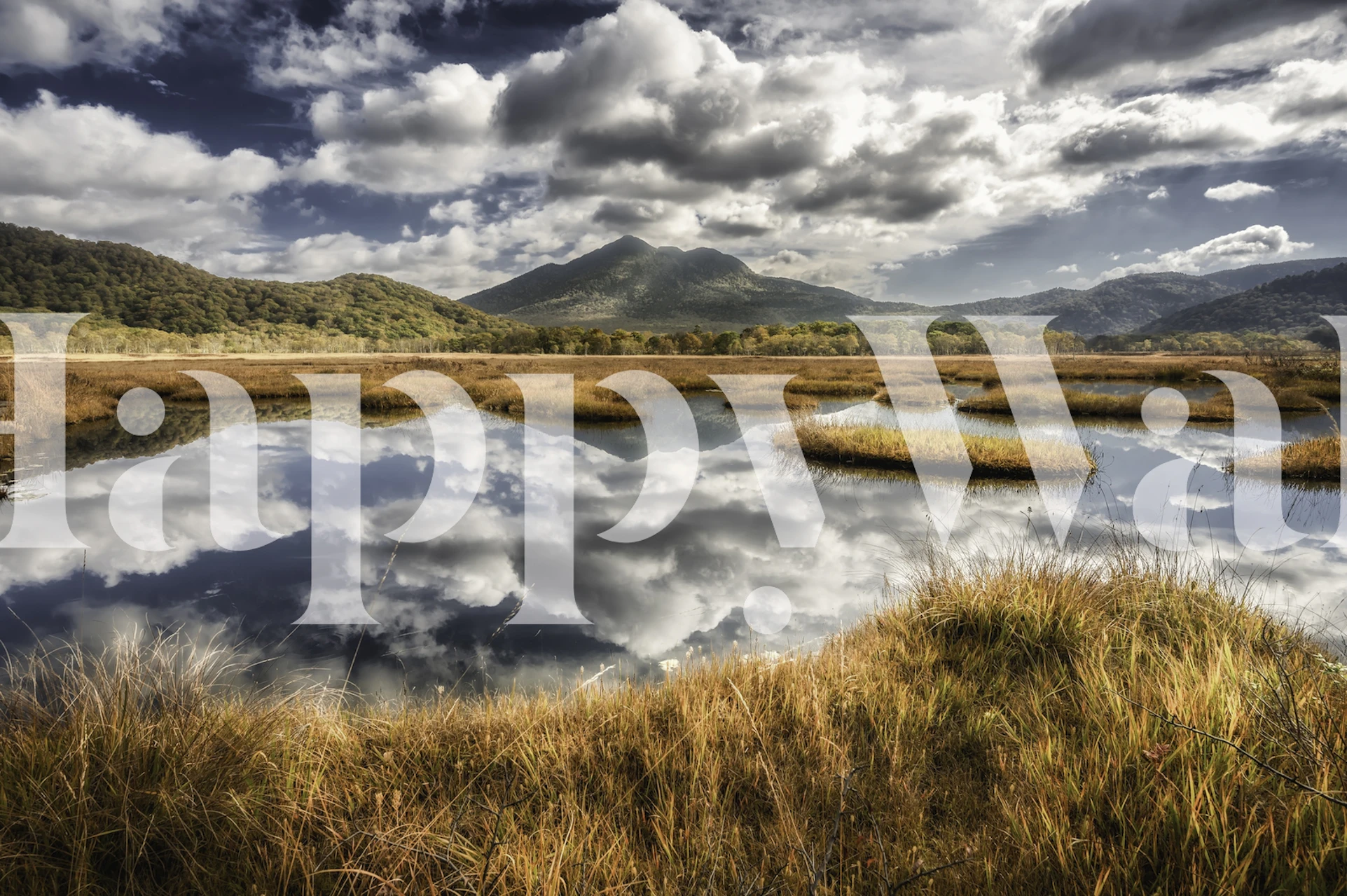 Nature-inspired wallpaper design in a room