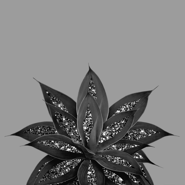 Gray Black Agave Glitter 3