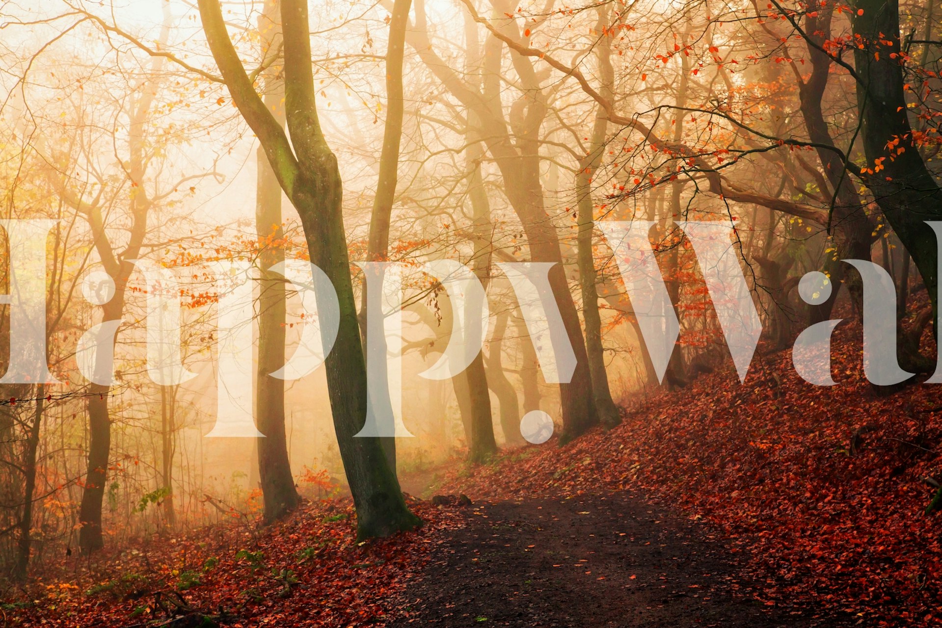 Wake up forest tapeta w przytulnym pokoju