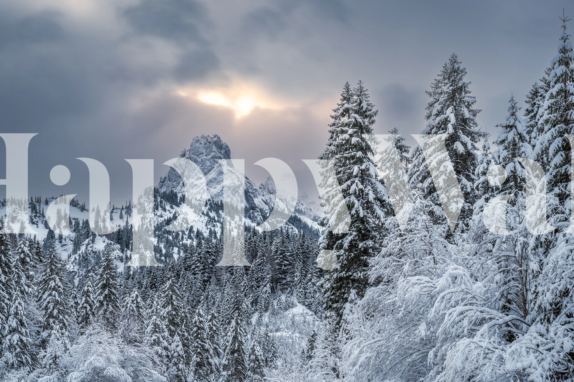 Alpine freshness wallpaper in a room setting