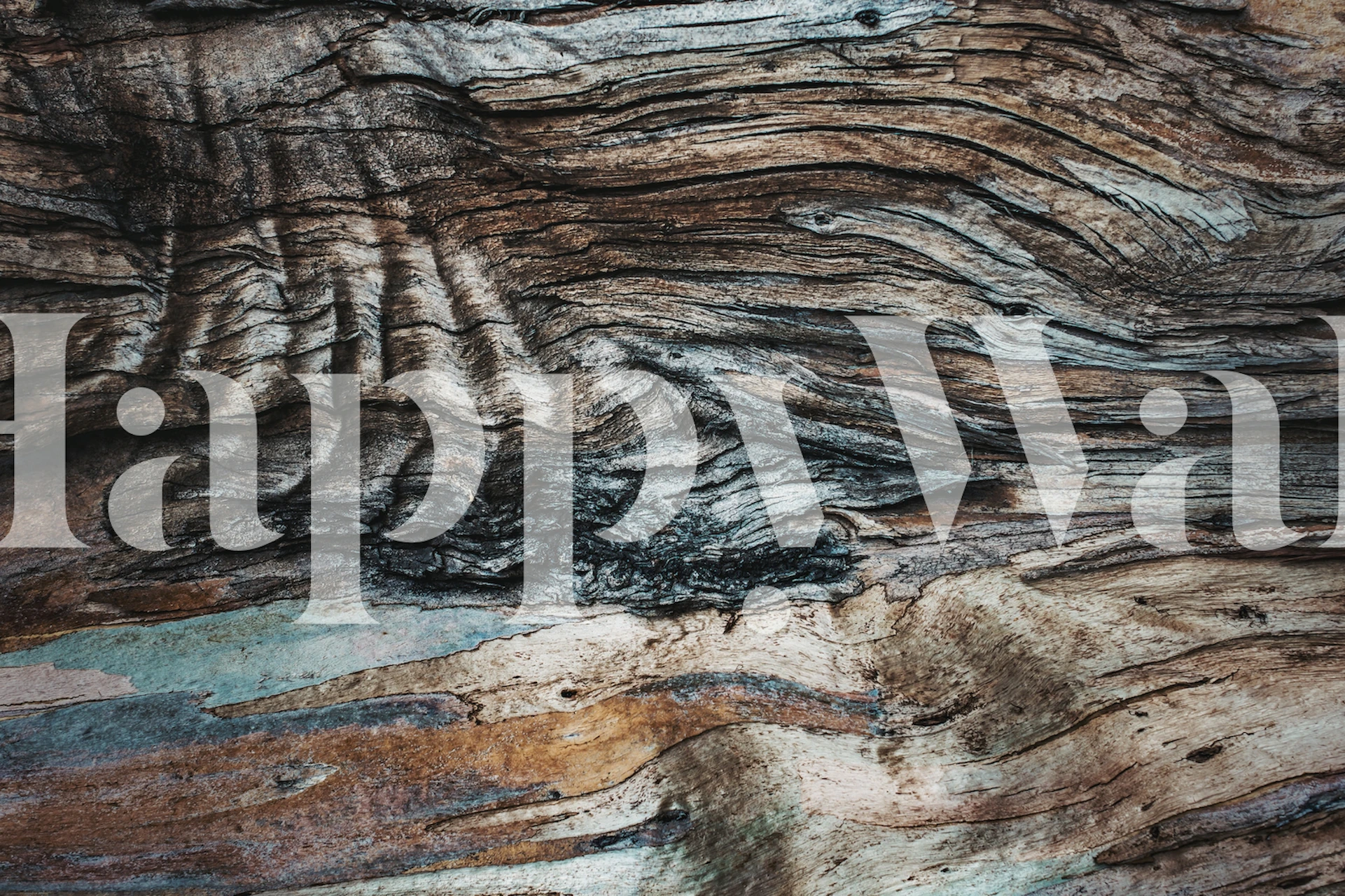 Close-up texture of eucalyptus wood wall mural with natural patterns