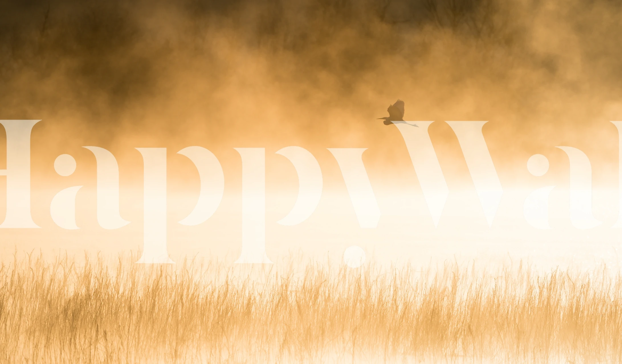 Pozadina Morning Flight u mirnom okruženju