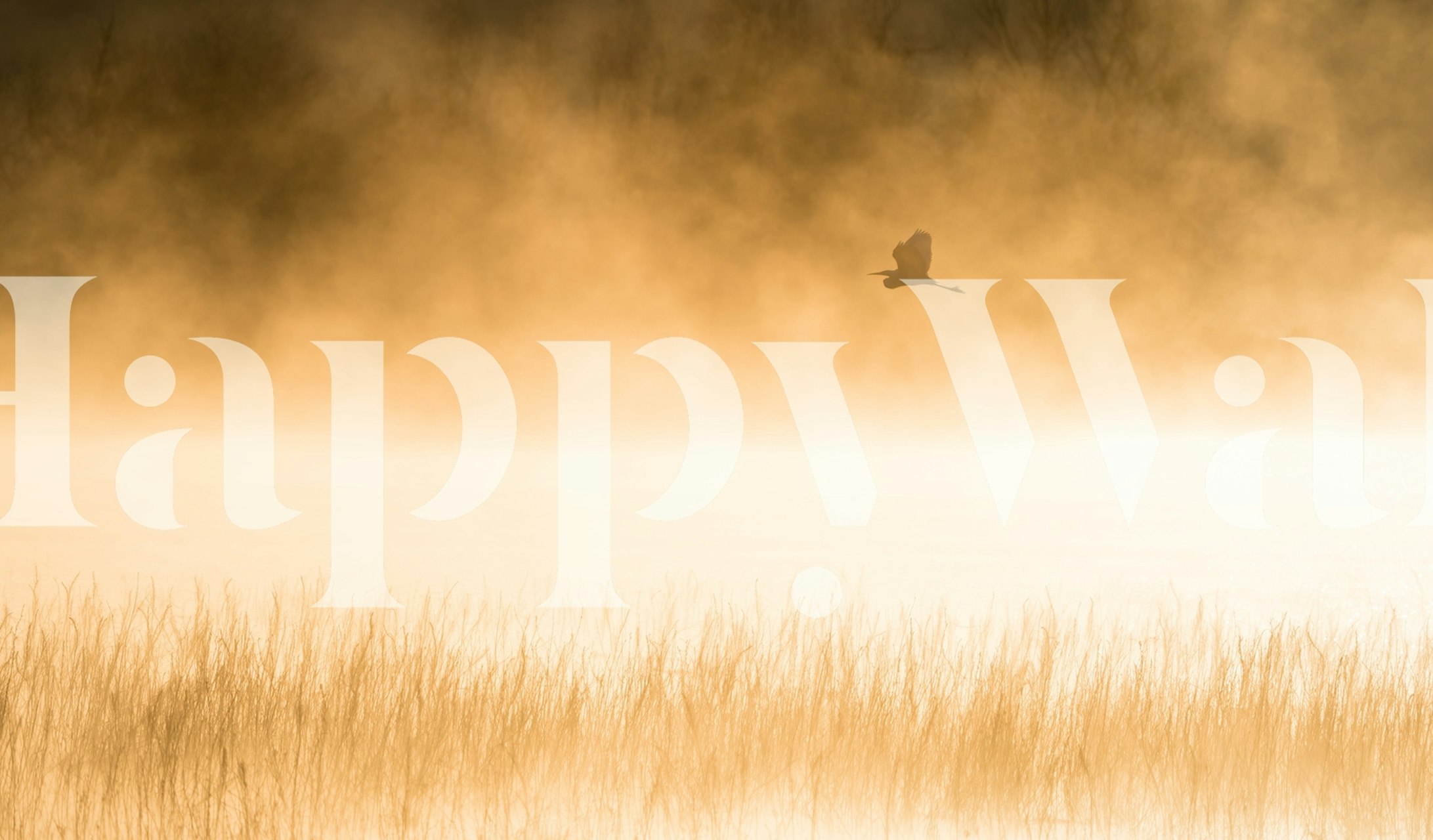 Morning Flight wallpaper in a serene setting
