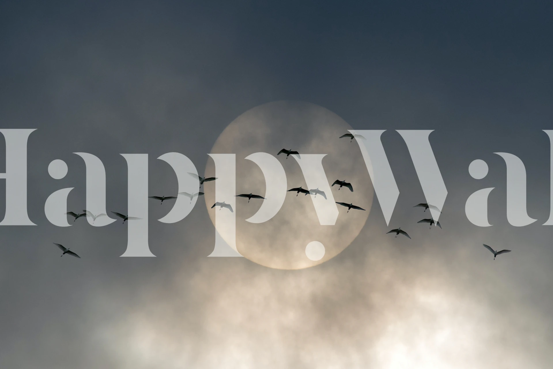 Wings wallpaper design in a room