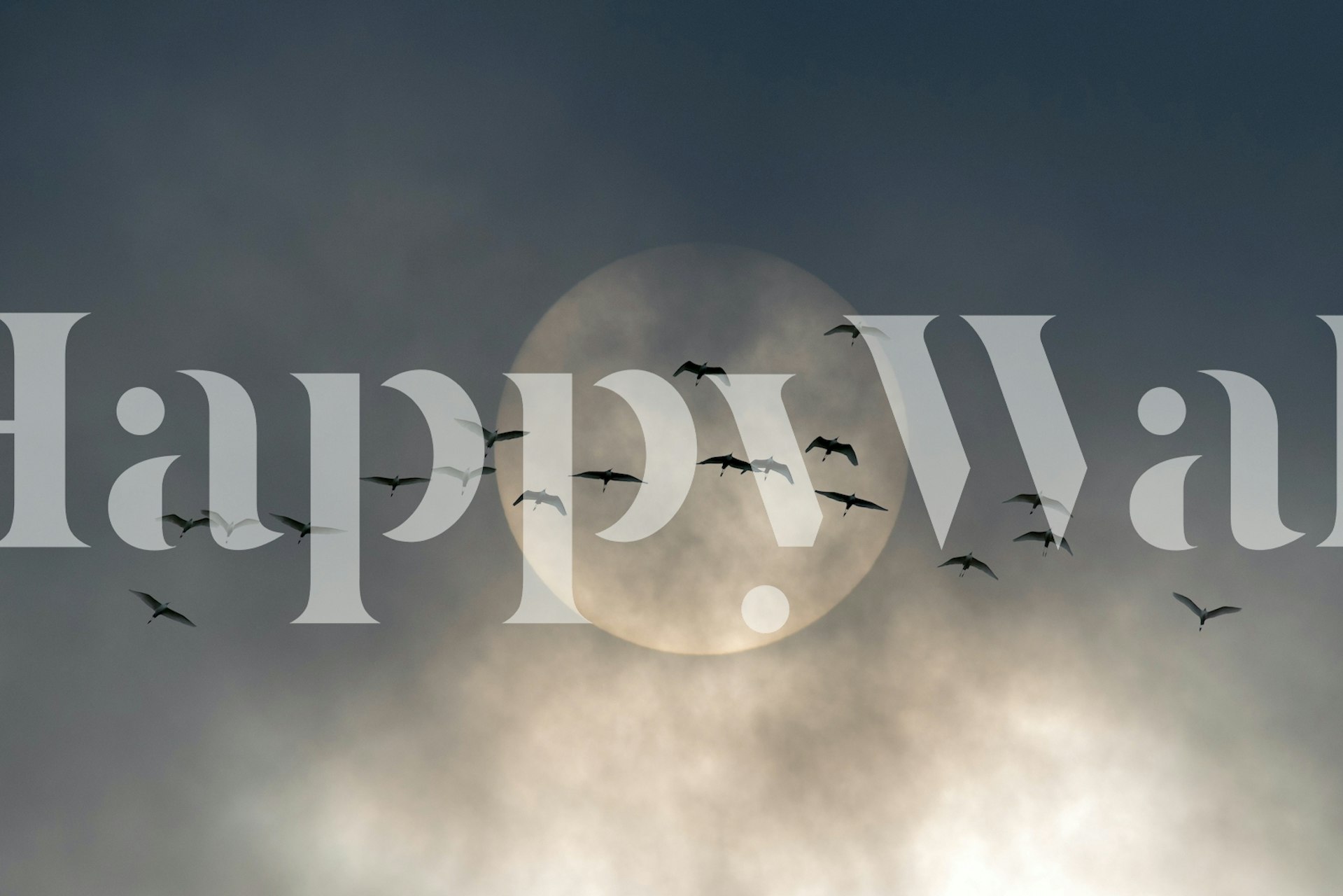 Wings design de papel de parede em um quarto