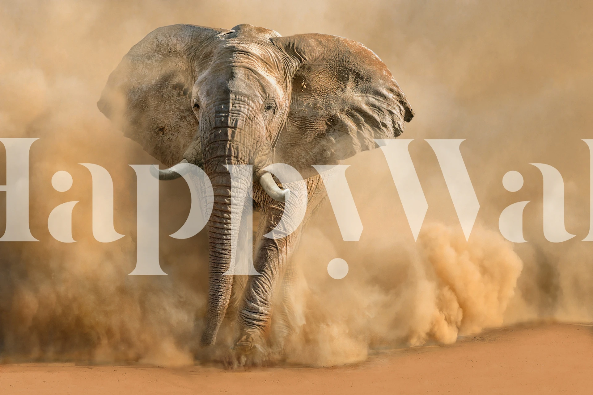 Elephant in a sandy desert environment with dust clouds wallpaper