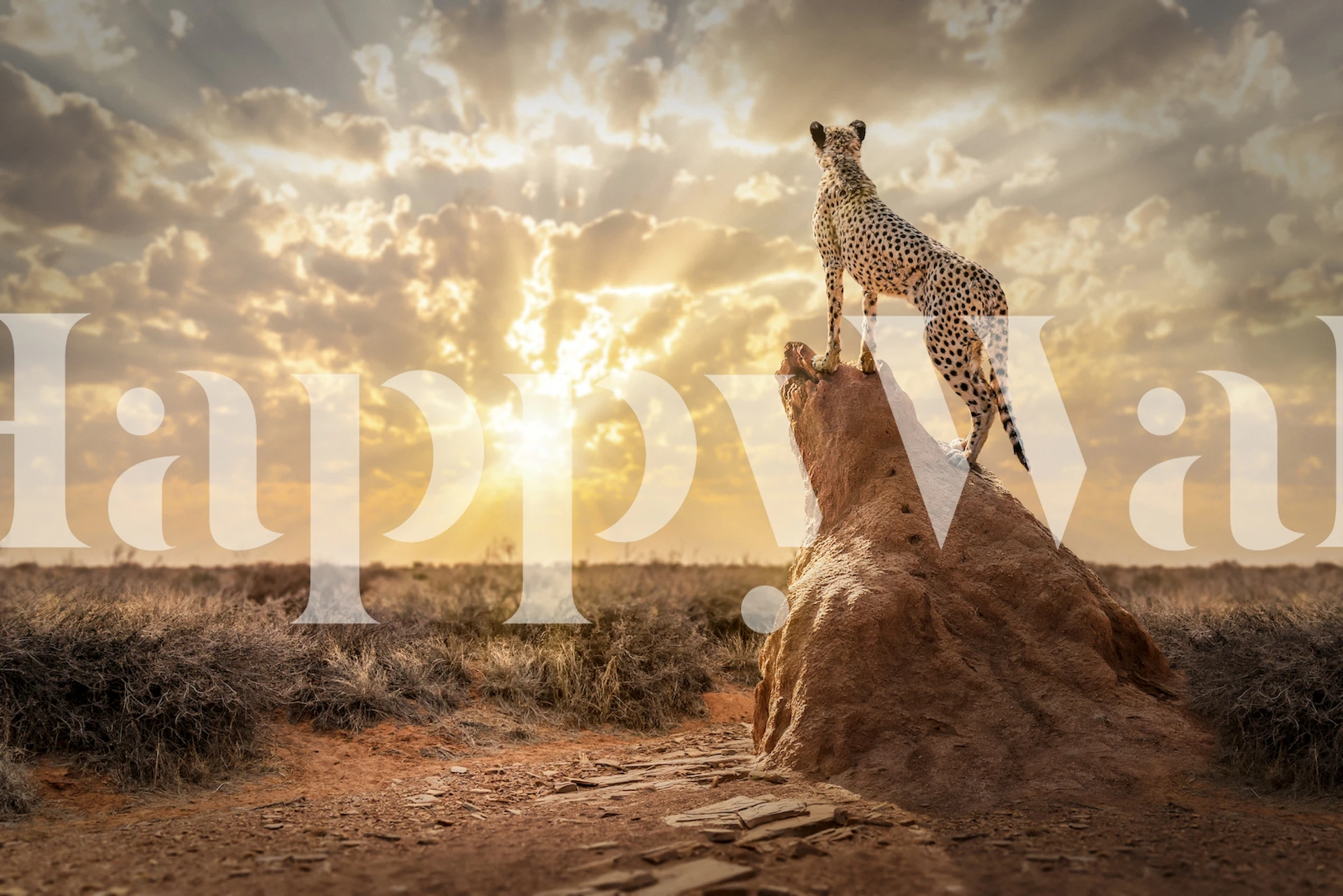 Cheetah wallpaper in a room