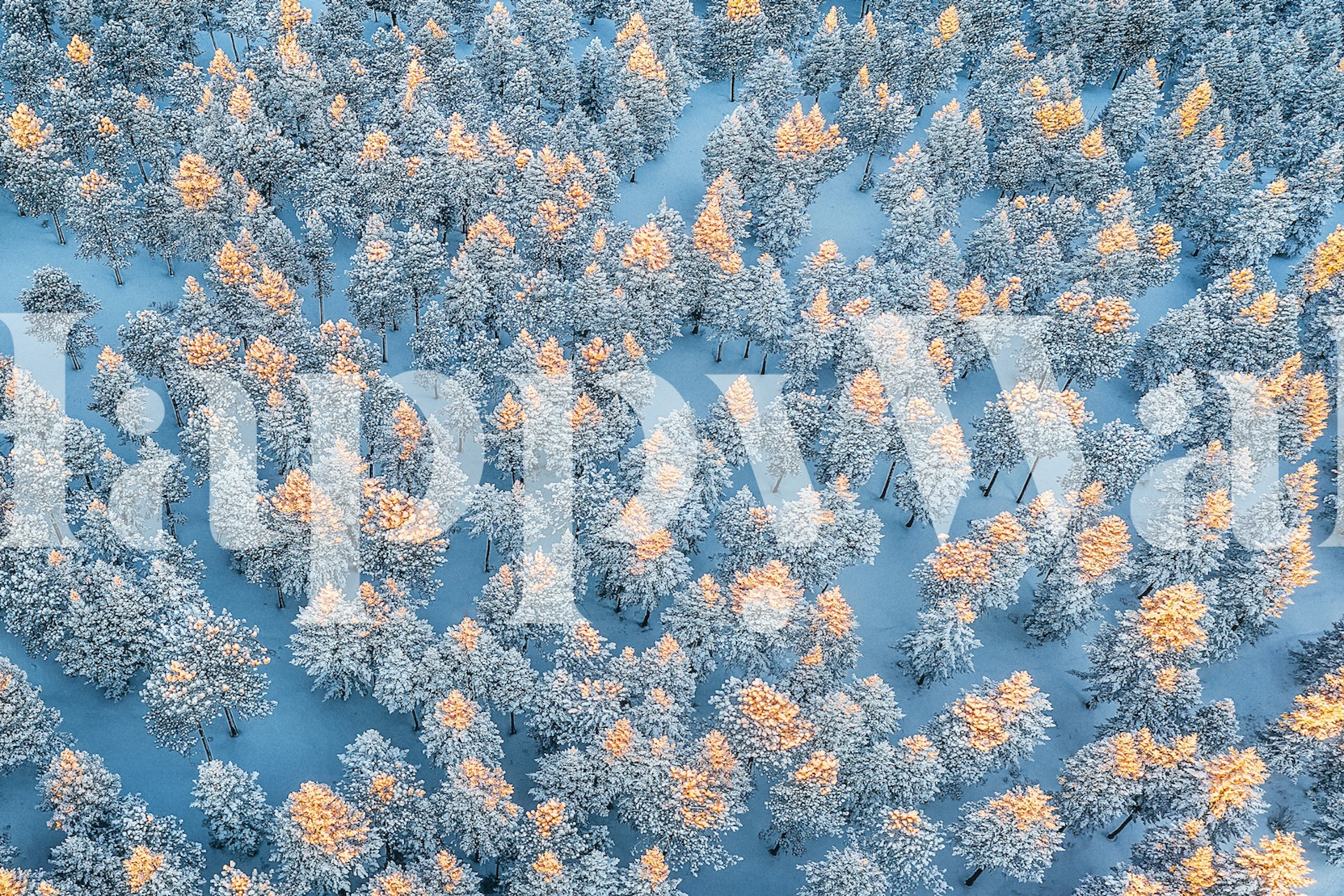 Design de papel de parede de inverno quente em um quarto