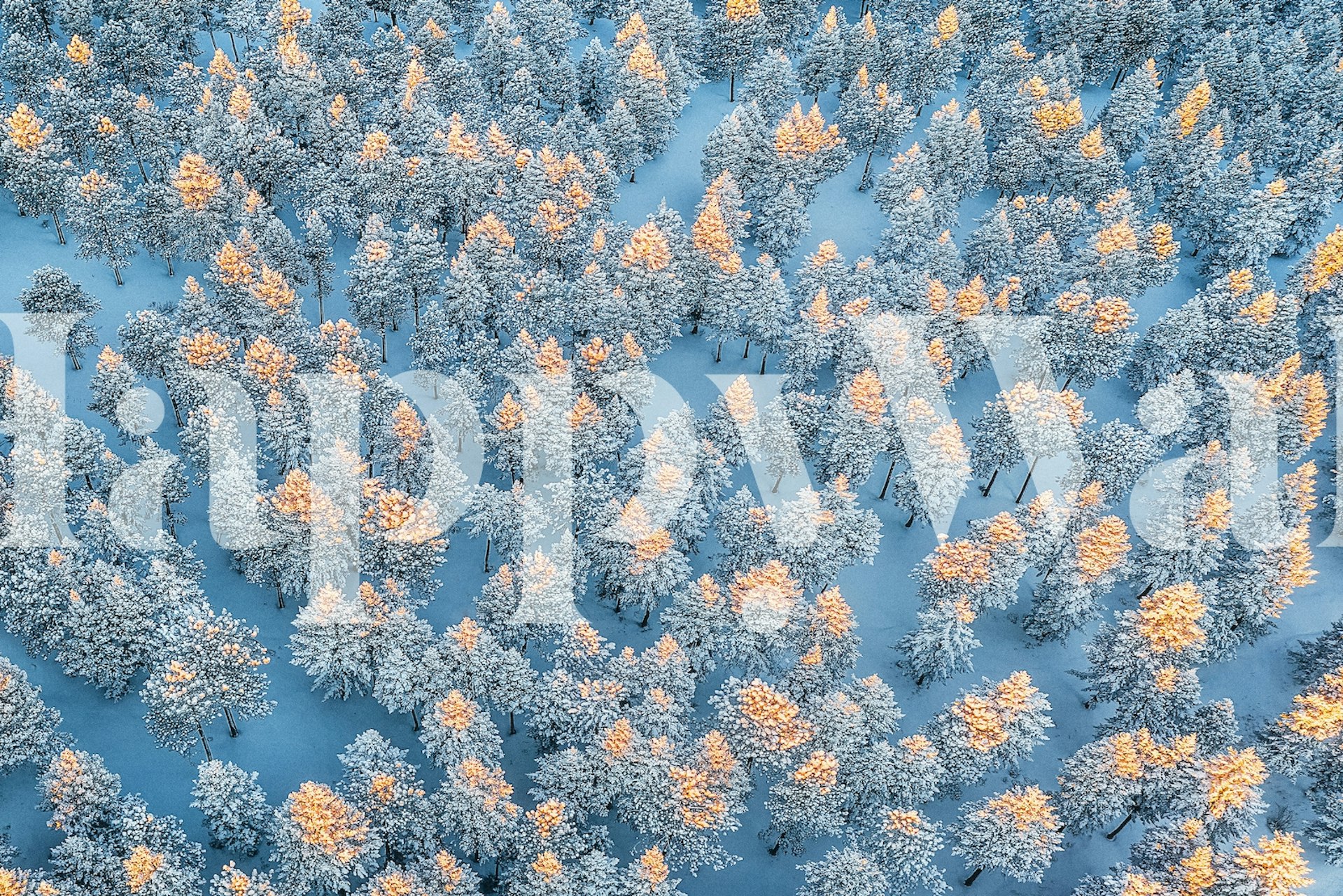 Varm vinter tapetdesign i et rom