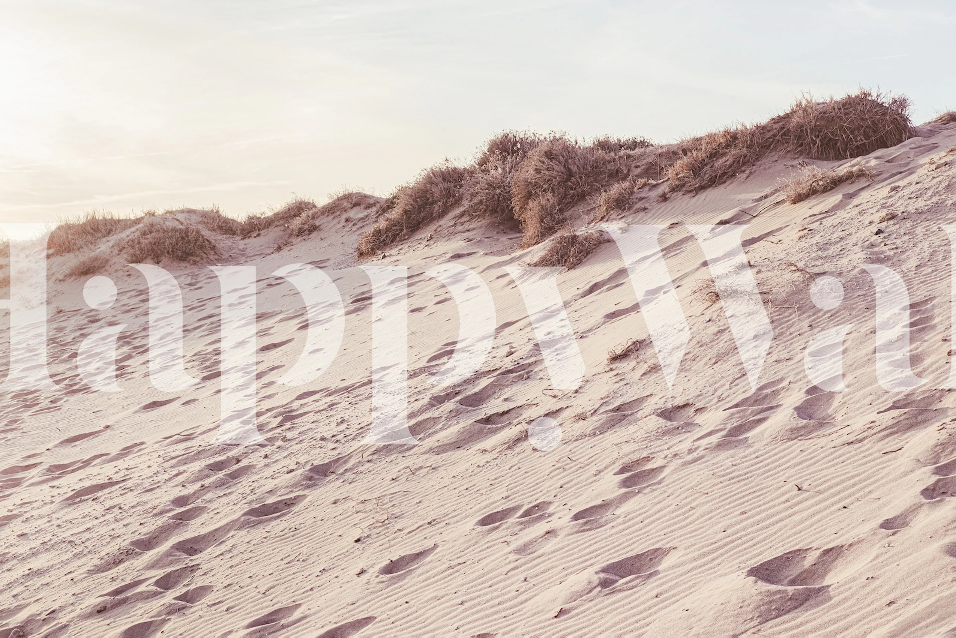 Serene beach dunes wall mural with warm tones and soft lighting