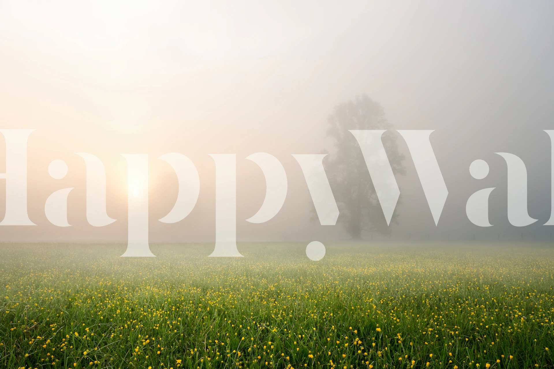 Tranquil meadow and sunrise wallpaper design