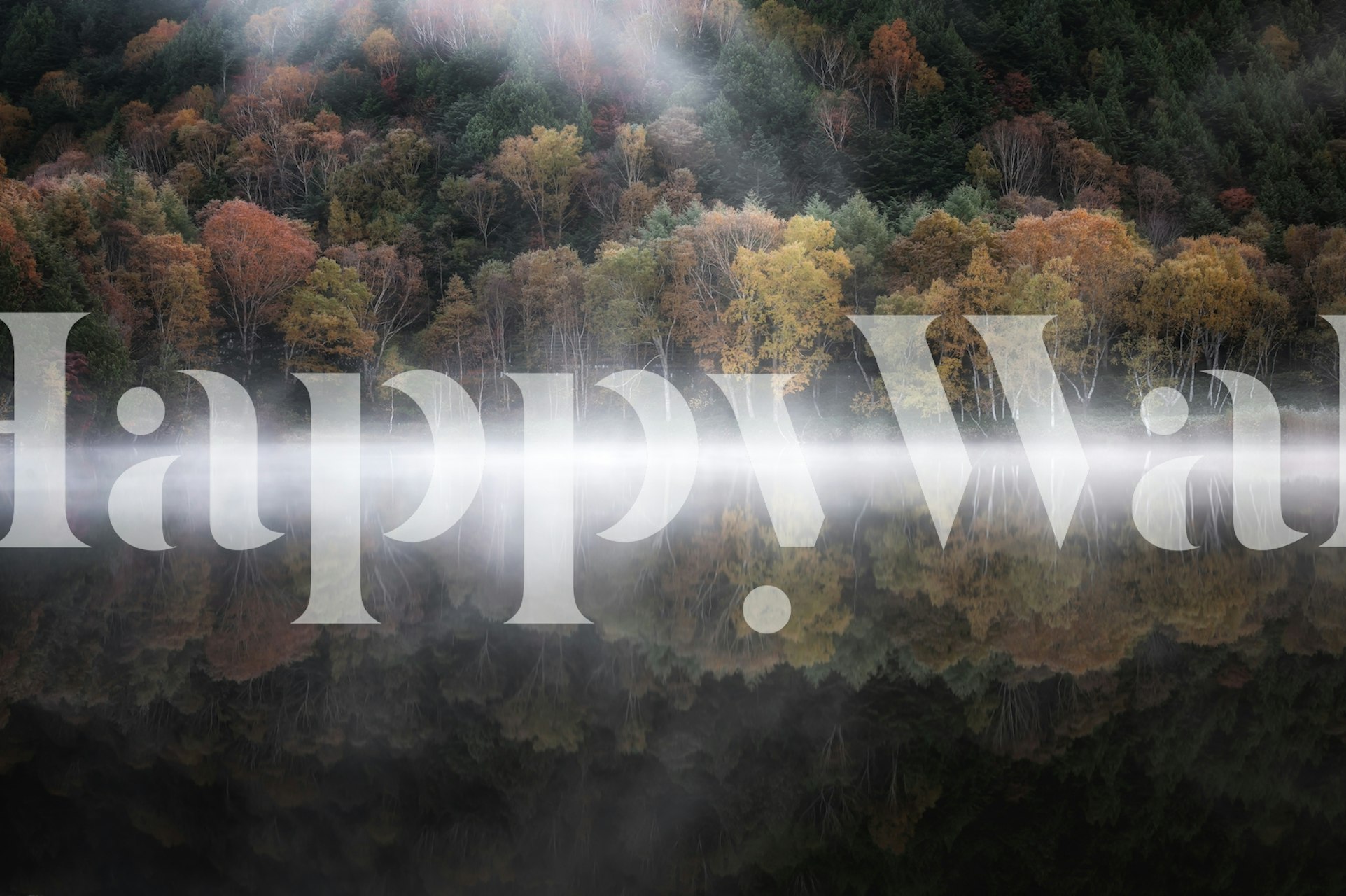 Still pond reflecting autumn trees with fog wallpaper