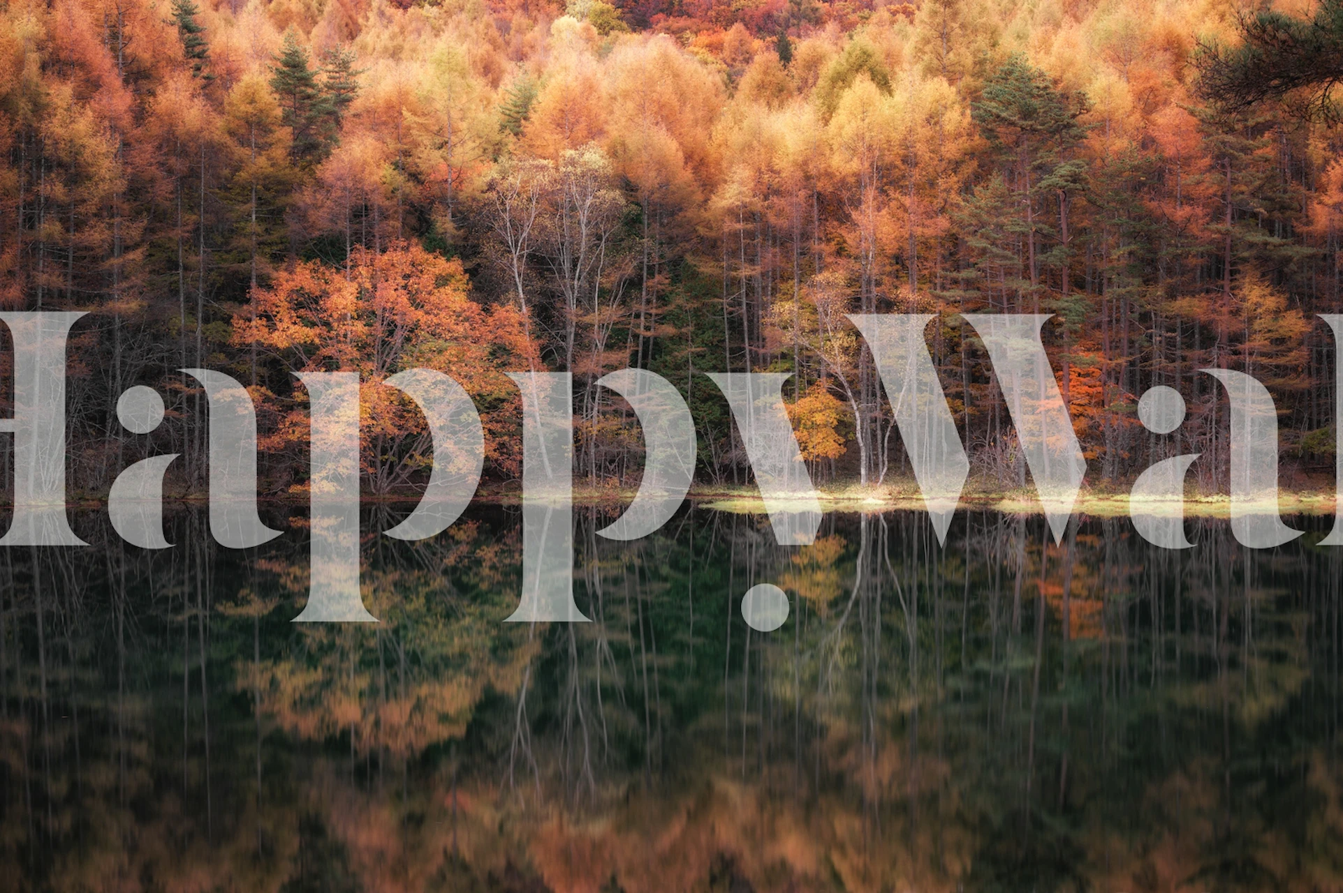 Conception de papier peint réflexion automnale