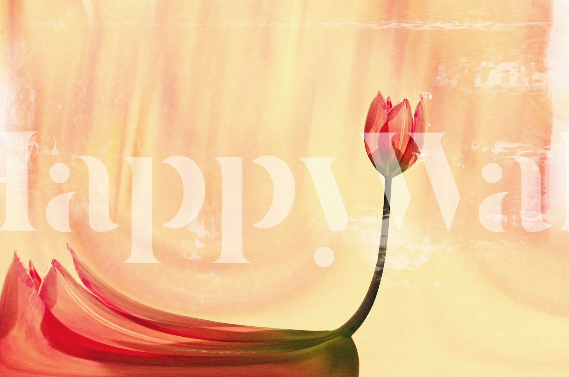 Abstraktní květinový dancer design