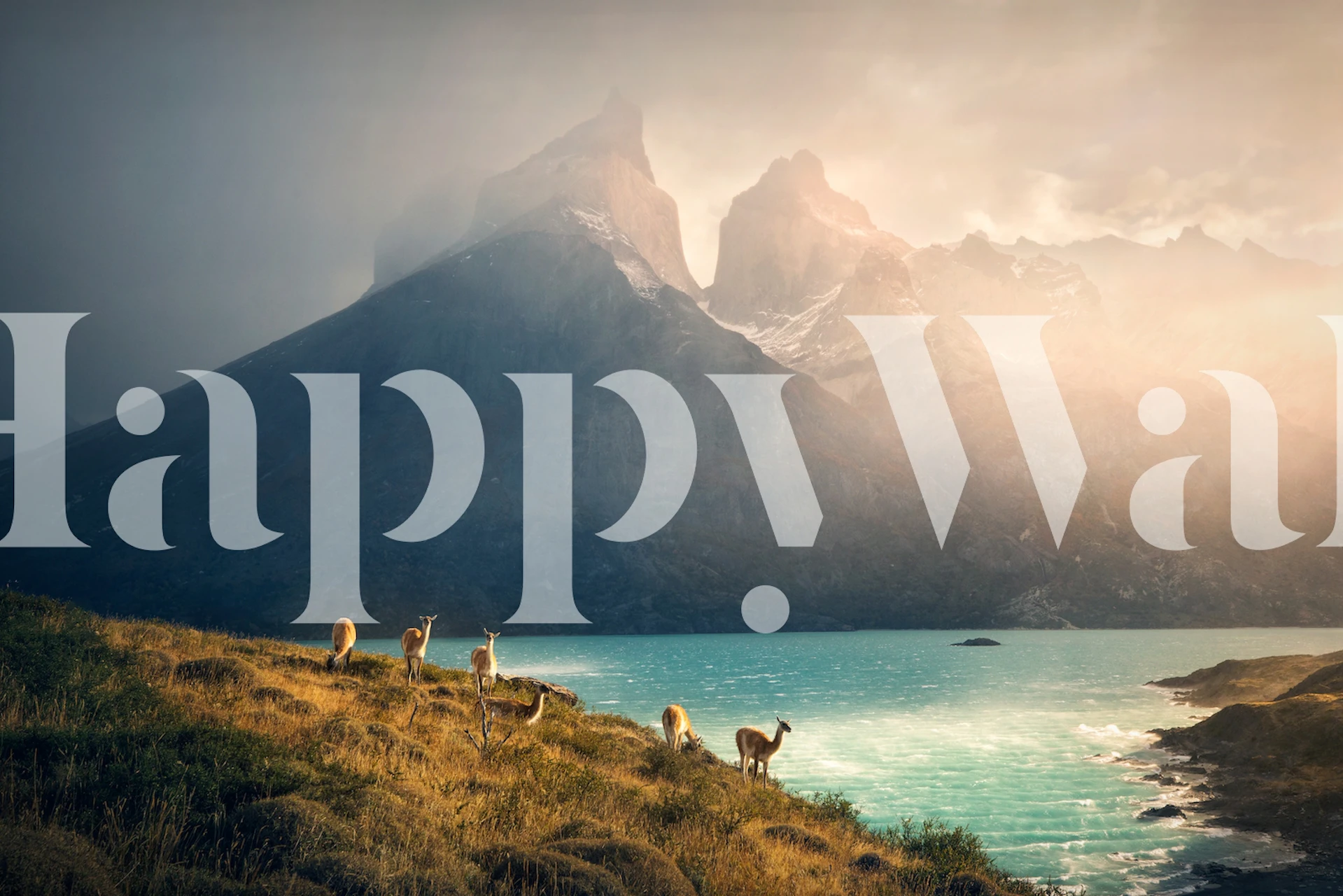 Alpaca grazing by blue water under mountains wallpaper