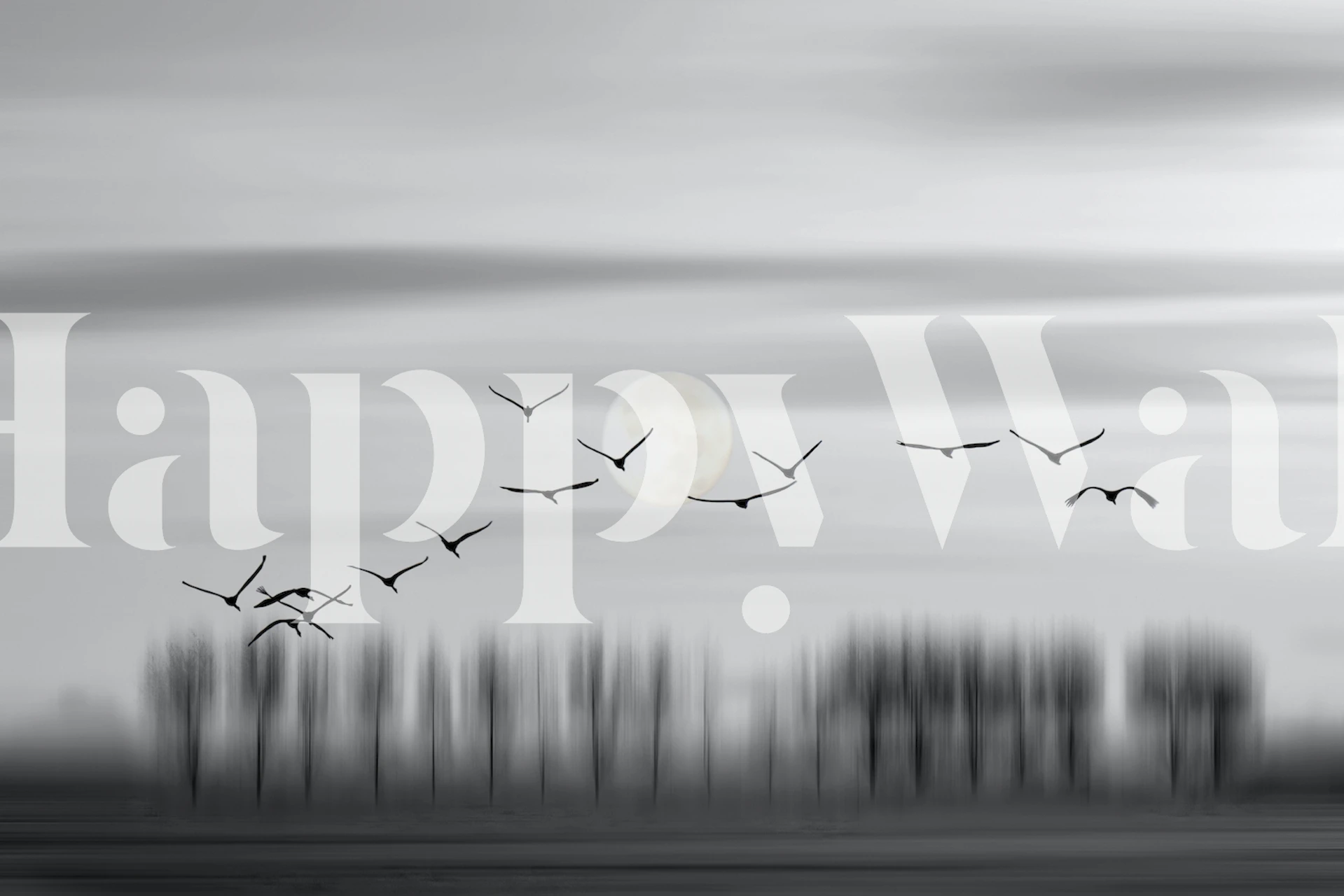 Ptaki latające swobodnie w blasku świecącego księżyca