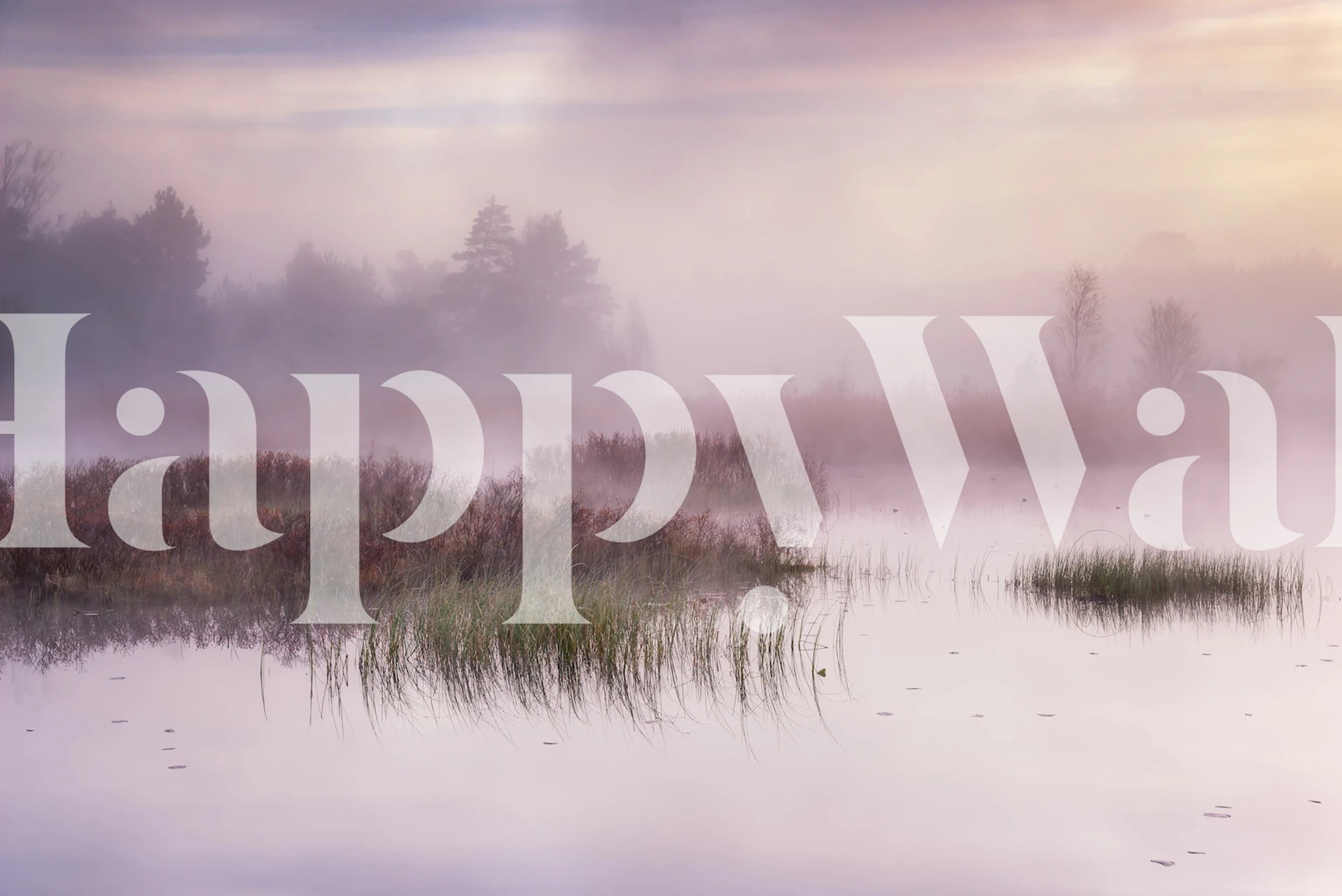 Serene dawn landscape wallpaper in a room