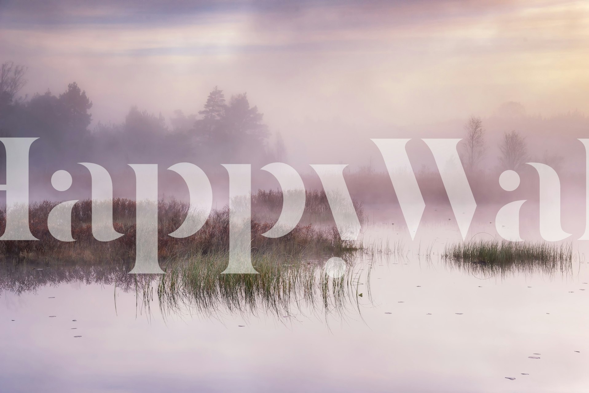 Serene dawn landscape wallpaper in a room