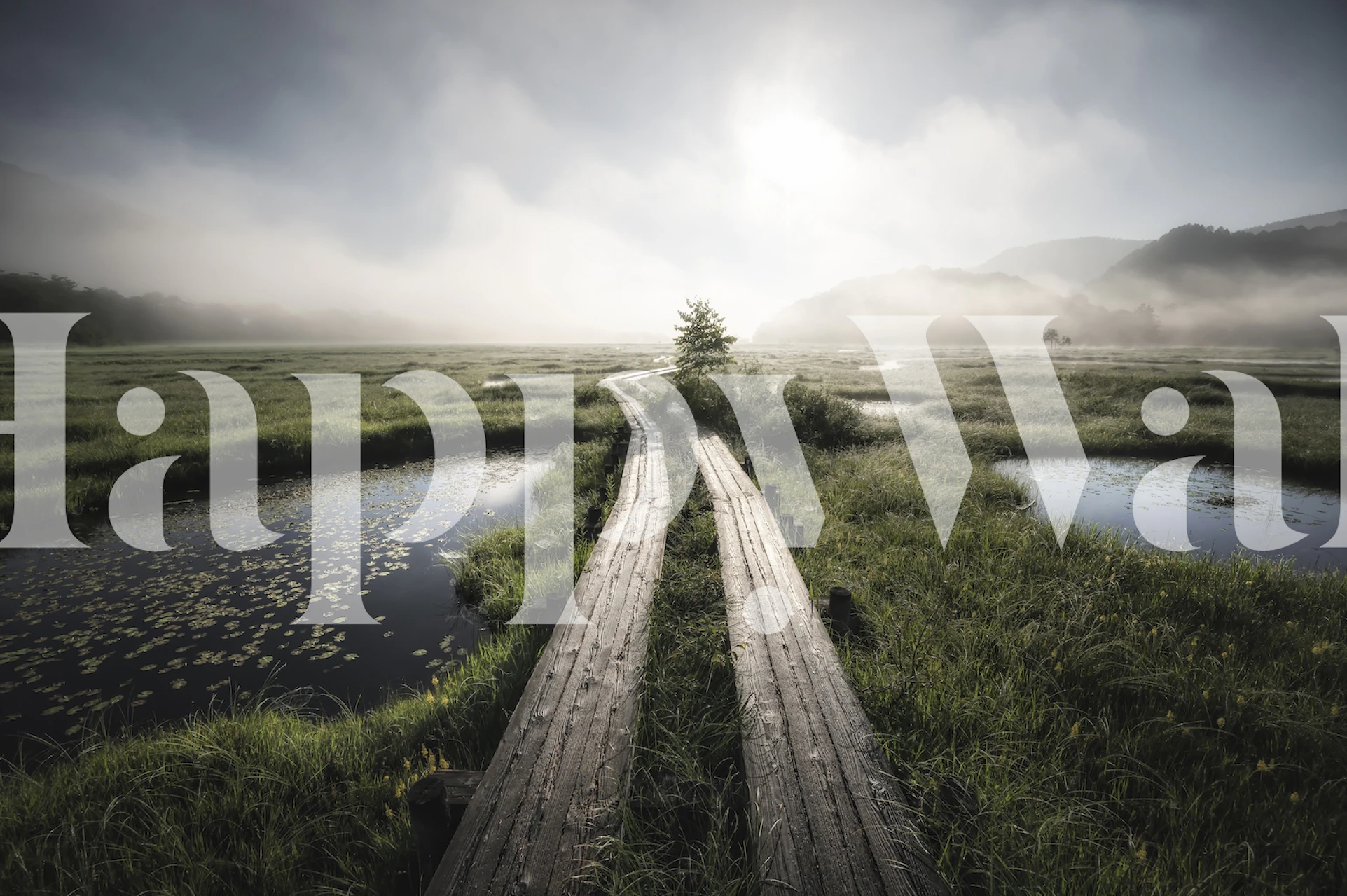 Foggy landscape with wooden pathway, green grass, and water wallpaper
