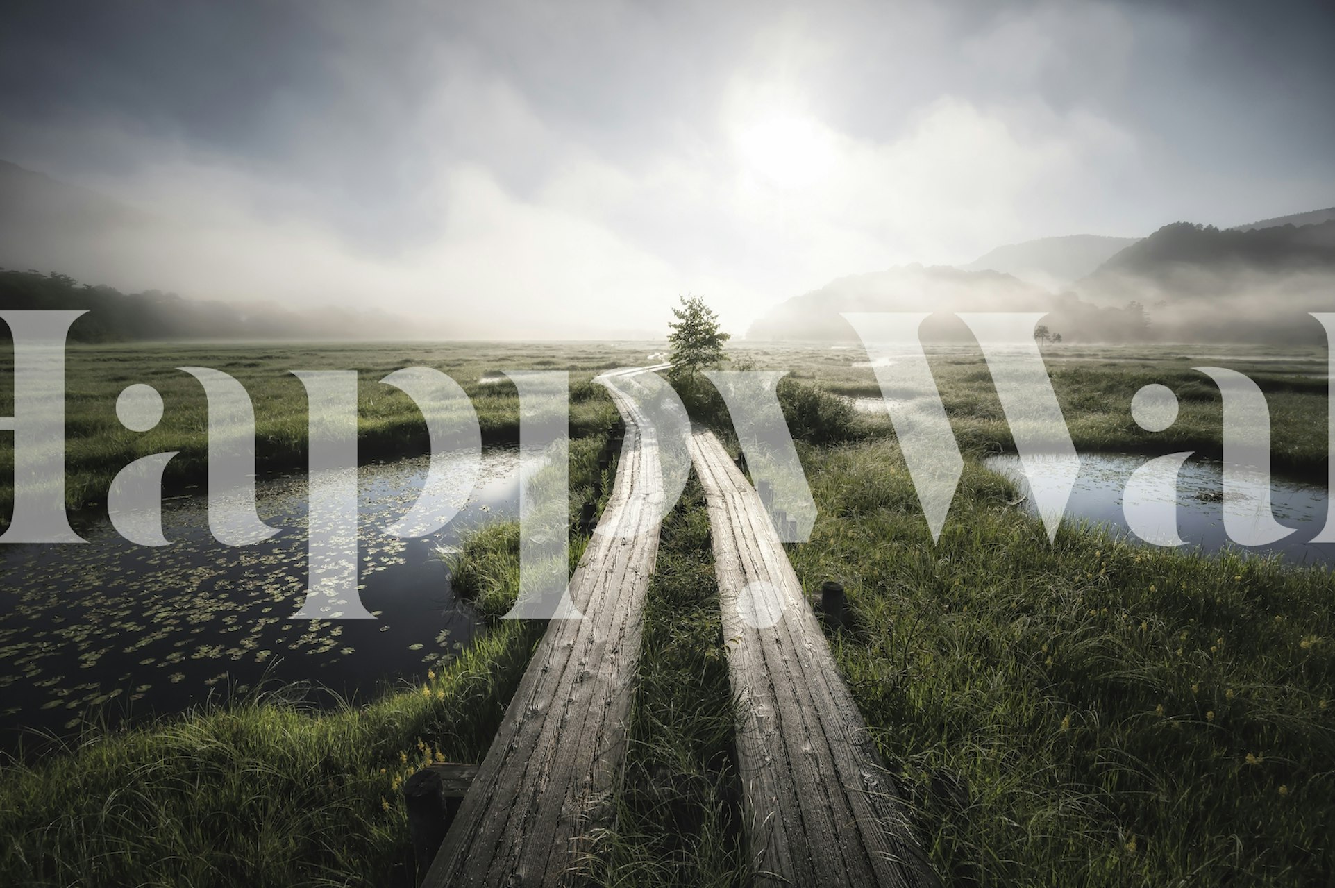 Tapet med en dimmig landskap i ett rum