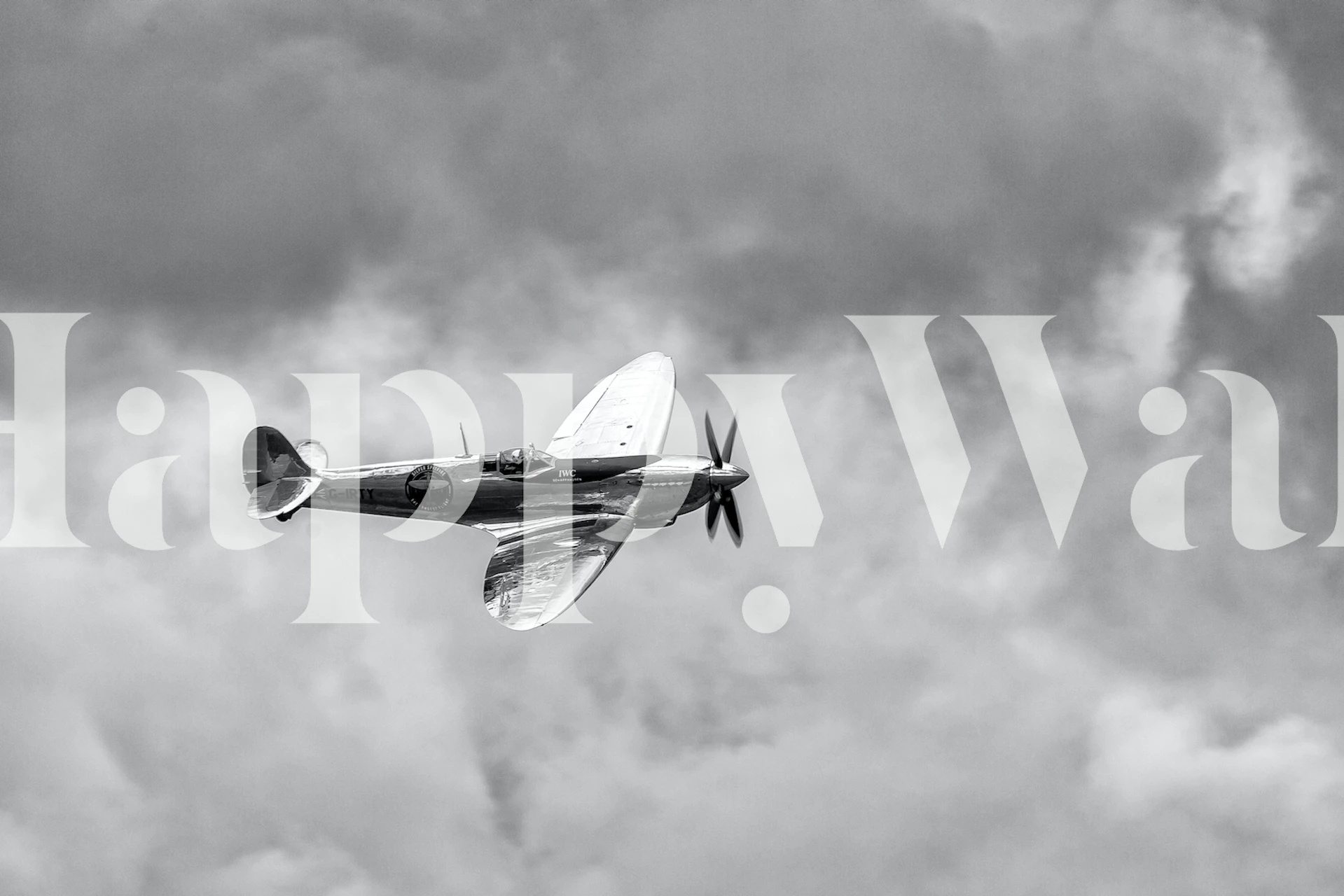 Tapet med Silver Spitfire fly
