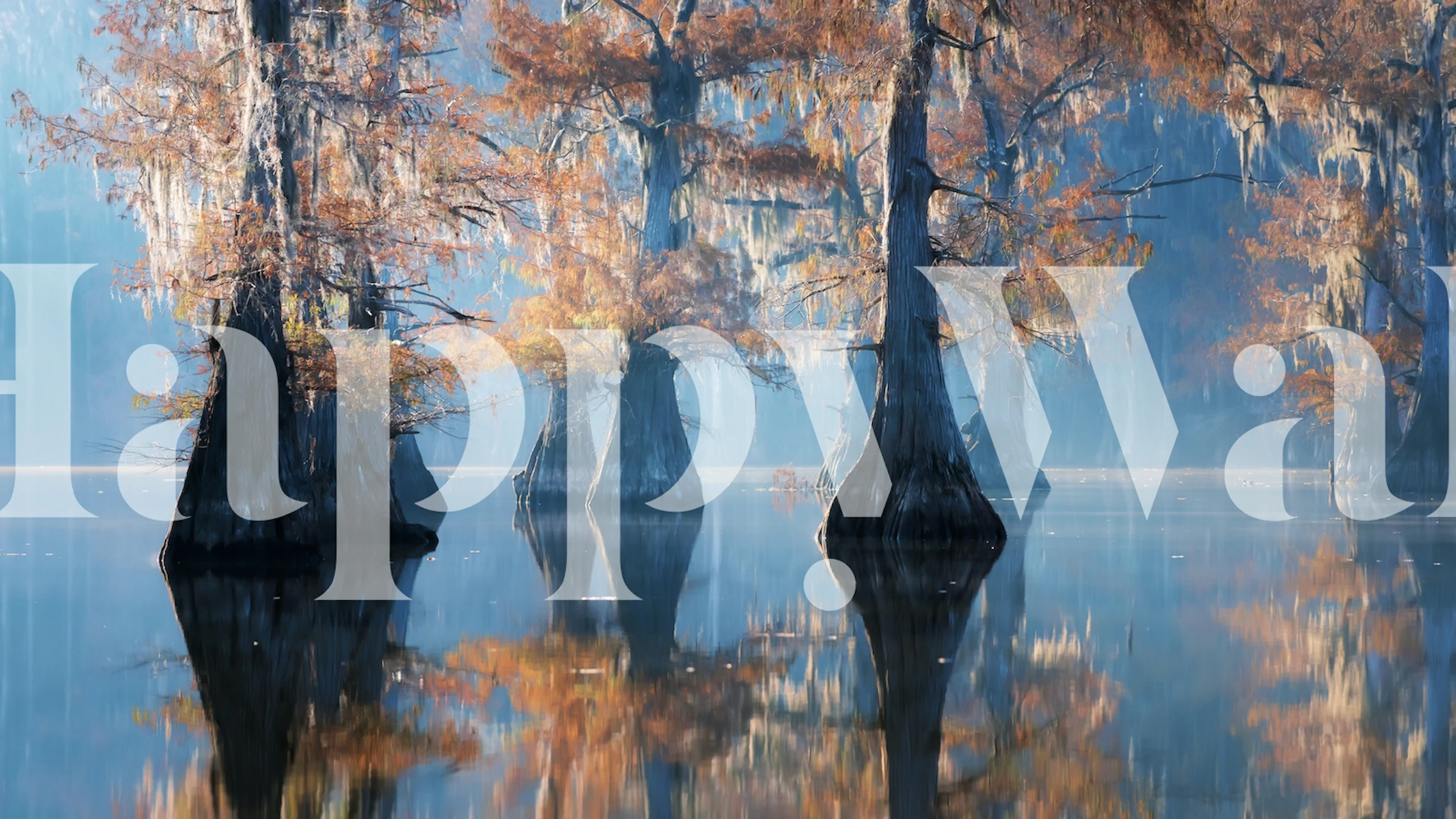 Apparitions of Perpetuity wallpaper in a room