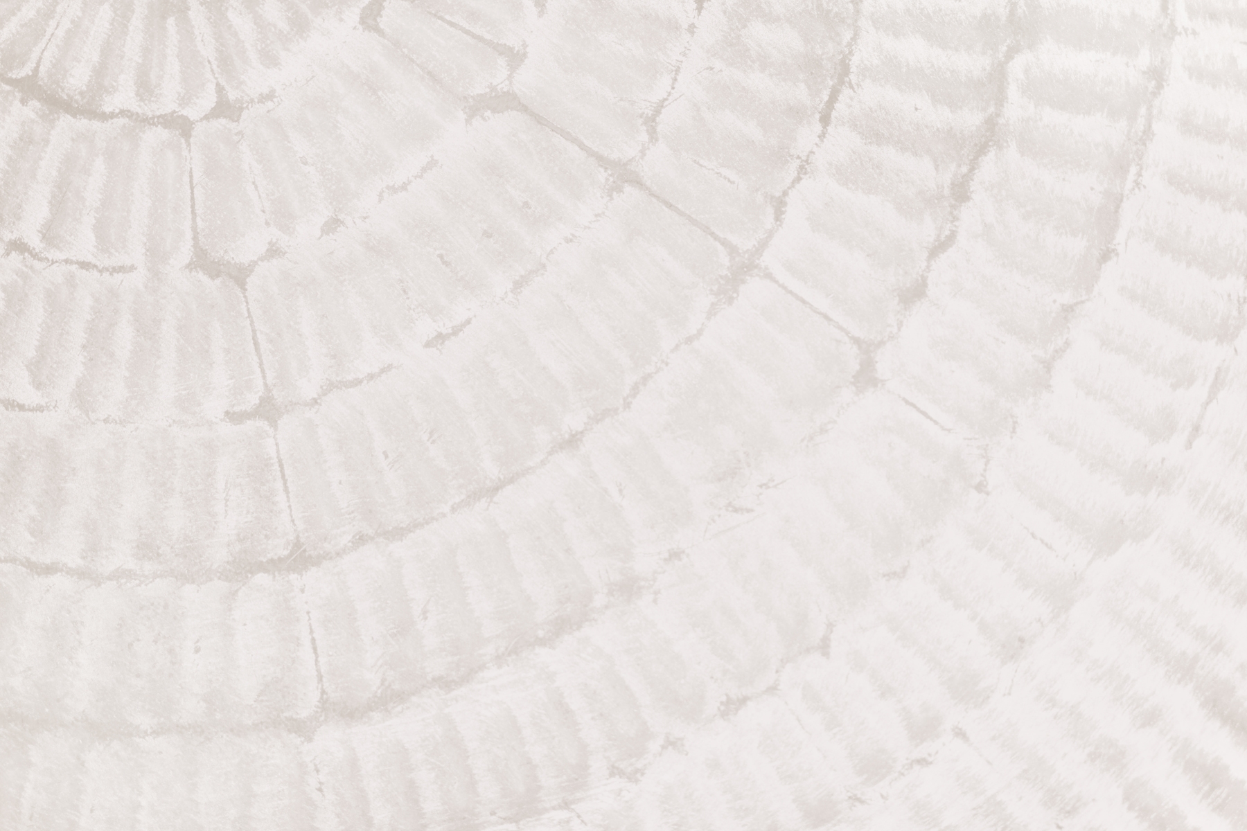 Texture 06 Wallpaper Buy Textured Wallpapers Online Happywall