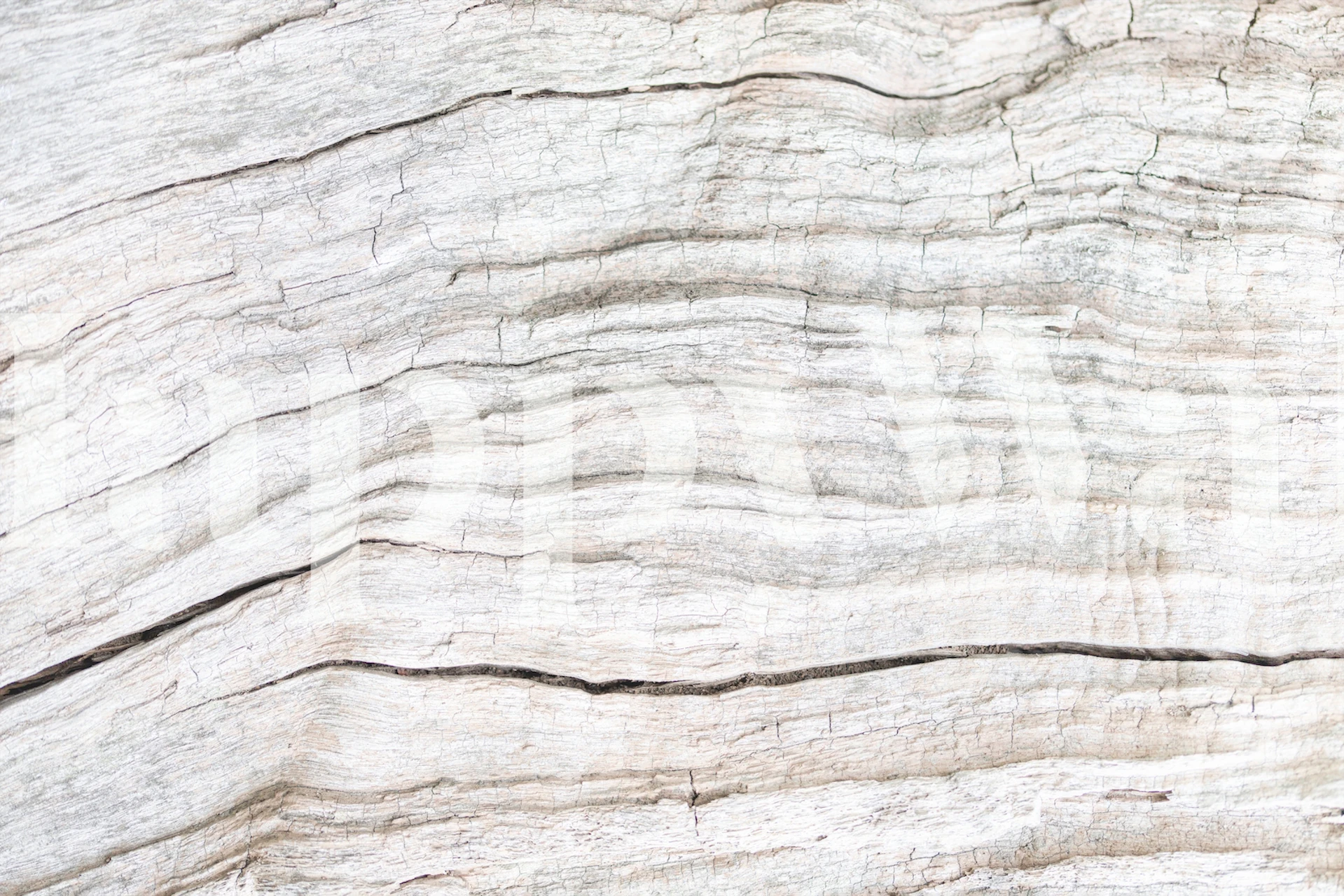 Texture 08 tapeta w aranżacji pomieszczenia