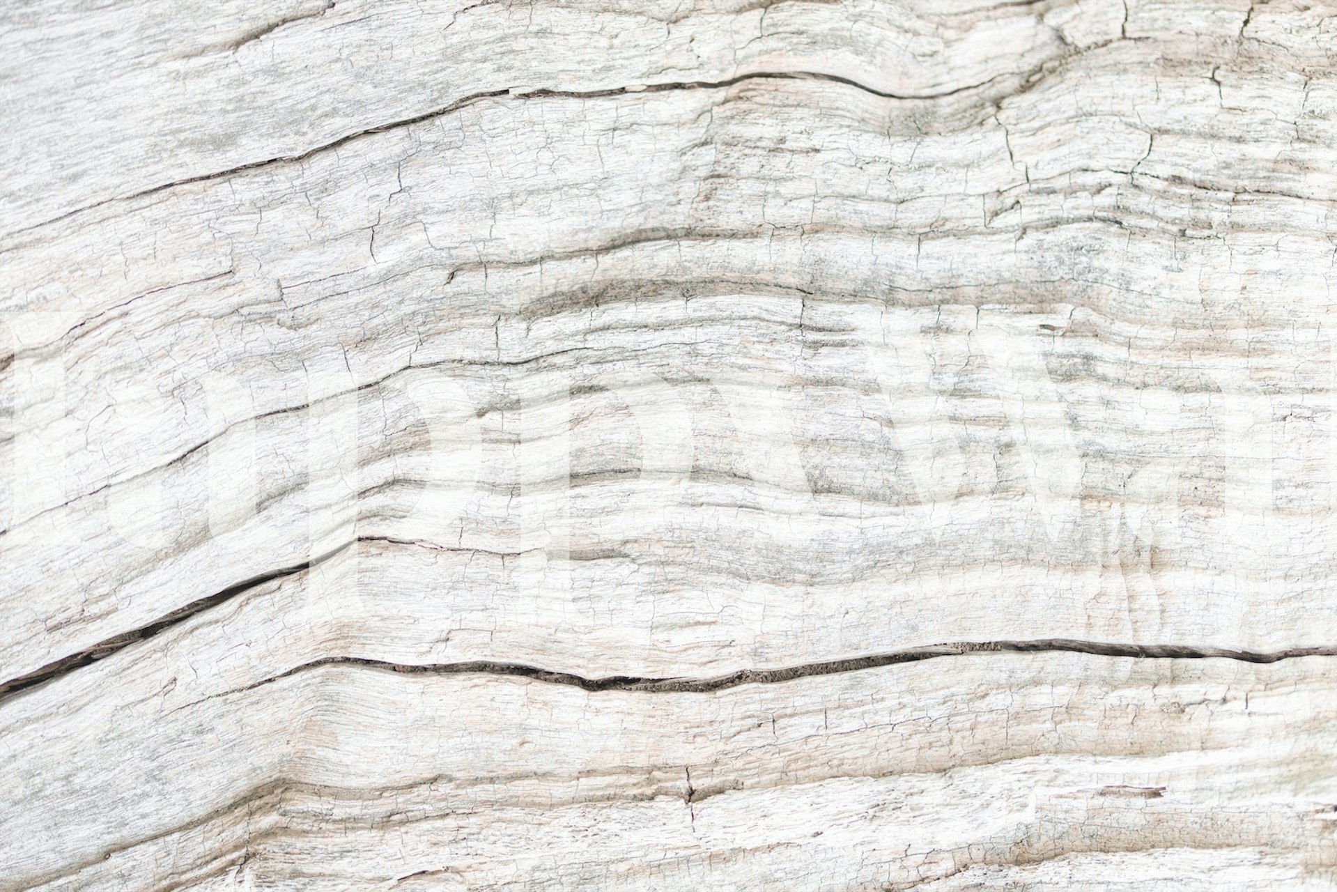 Texture 08 pozadina u postavci sobe