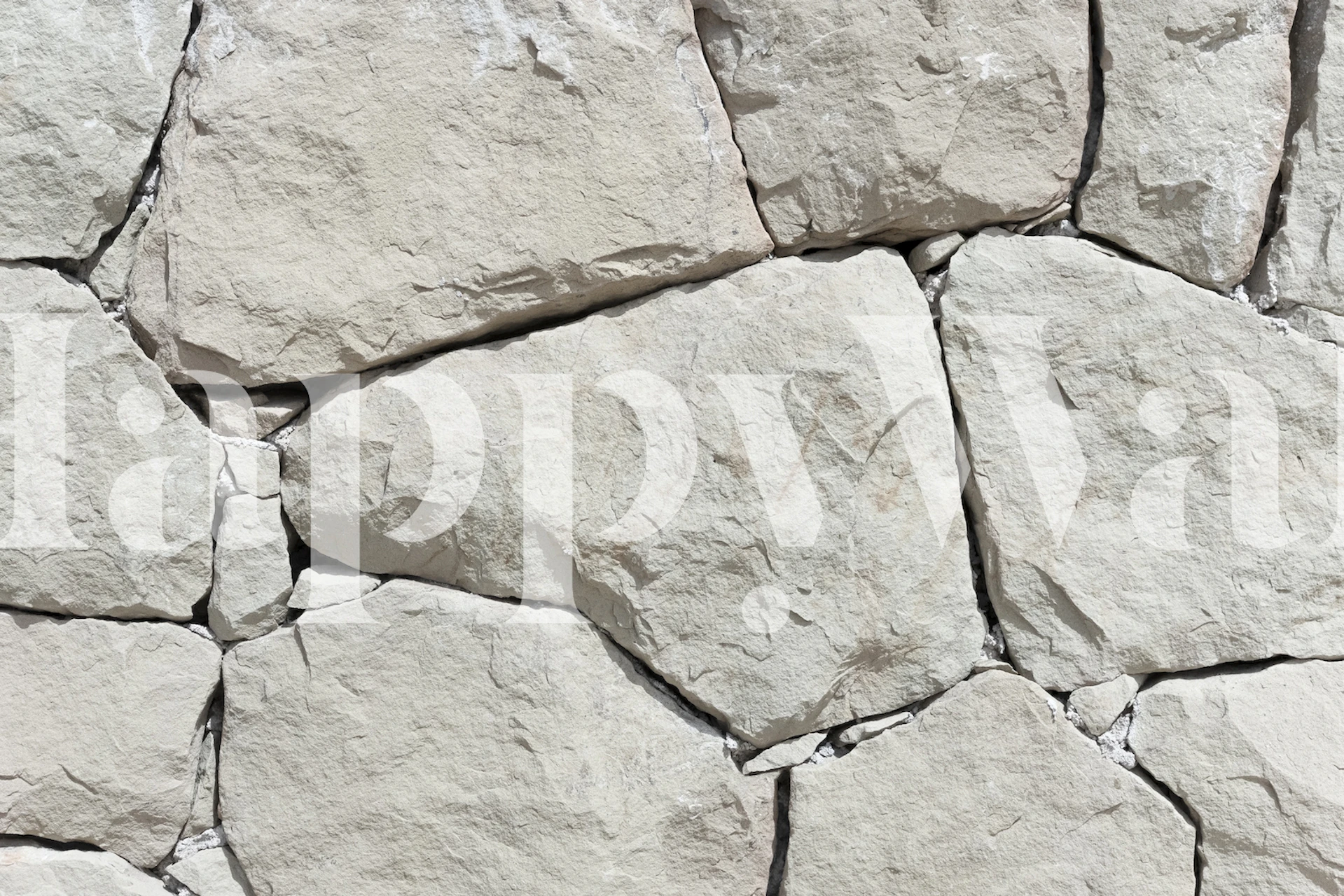 Textured stone wall mural