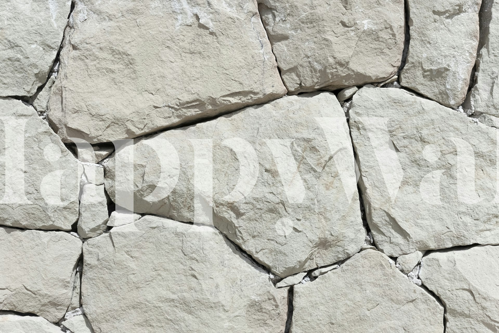 Textured stone wall mural