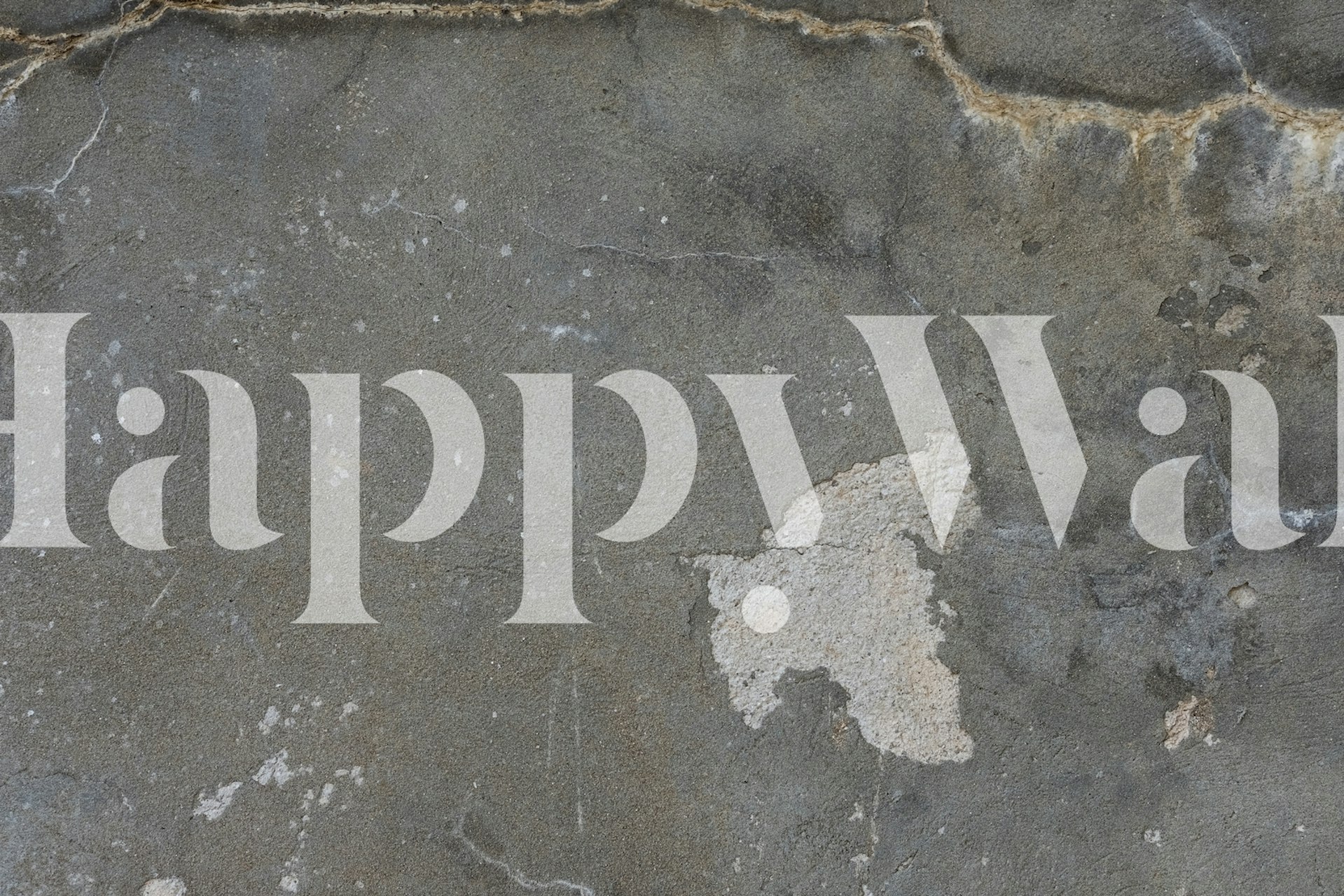 Abstract textured grey wall mural named Texture 40